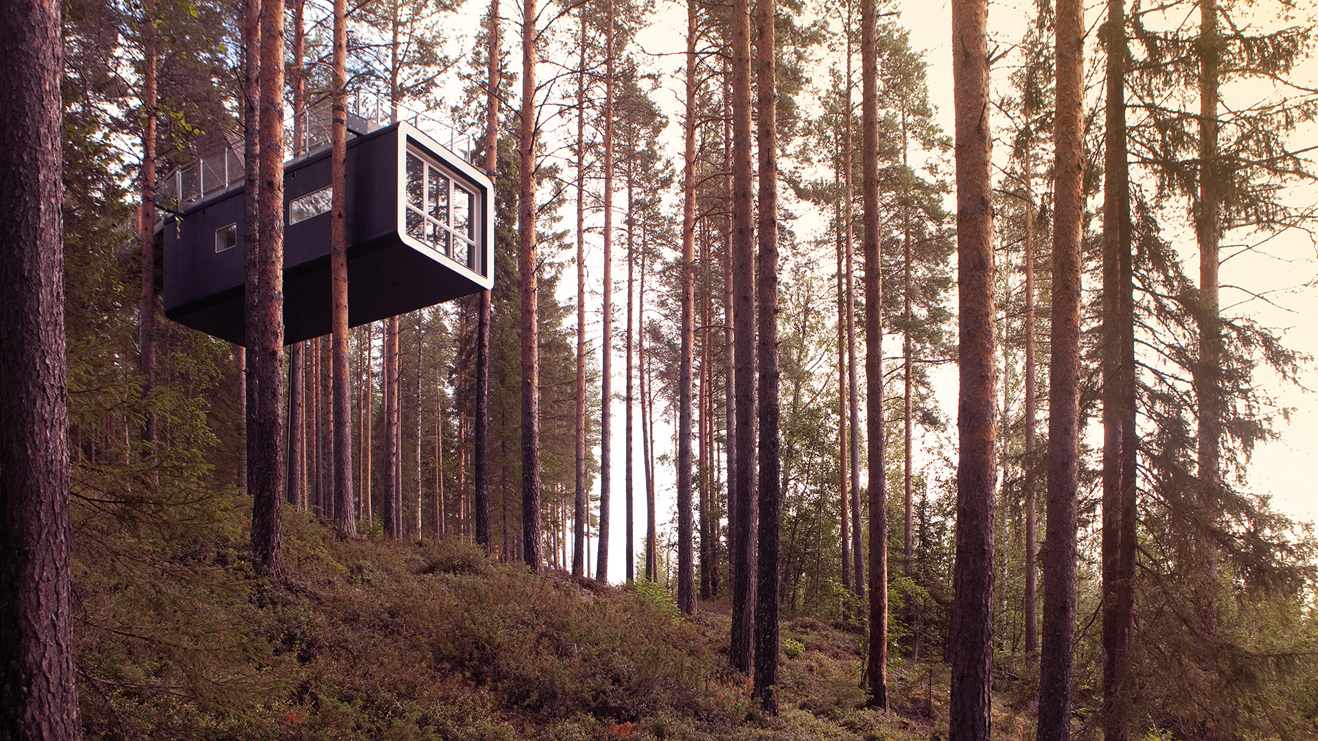 A view of a rectangular room within the treetops at the Treehotel accommodation in Sweden