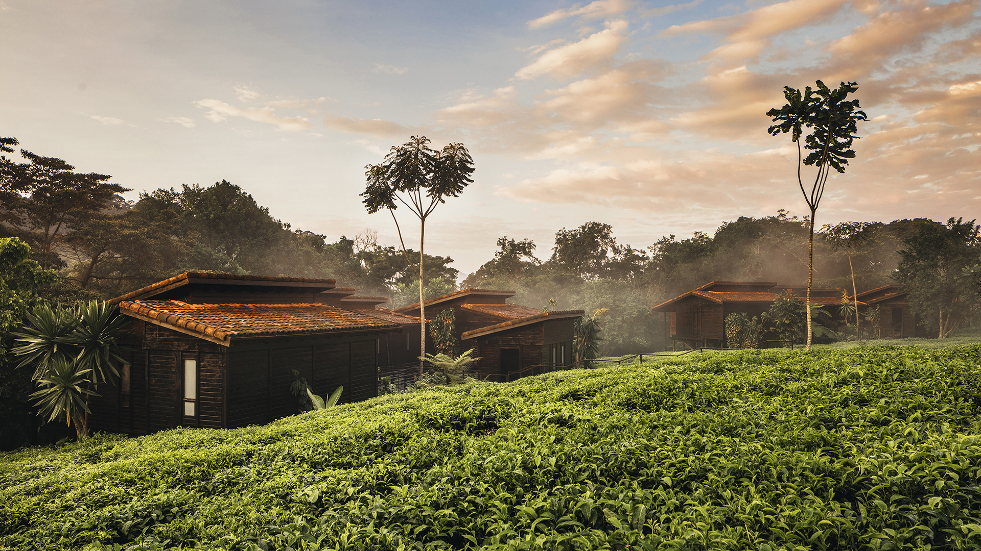 Africa, Rwanda, One&Only Nyungwe House, Exterior