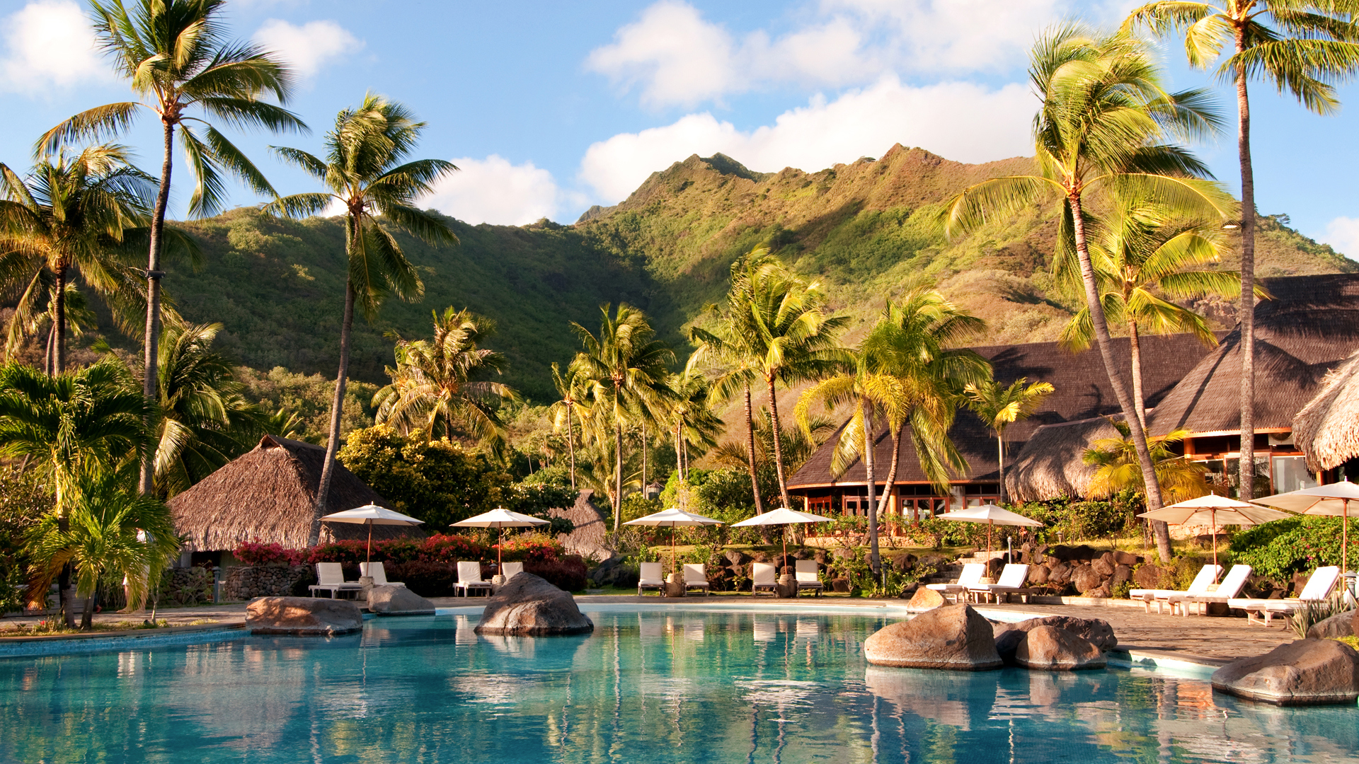 Worldwide, French polynesia, Hilton moorea, Swimming pool view