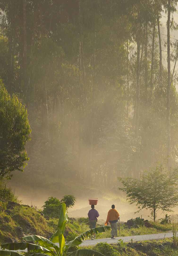 Two locals in Nyungwe walking down a path shrouded in mist