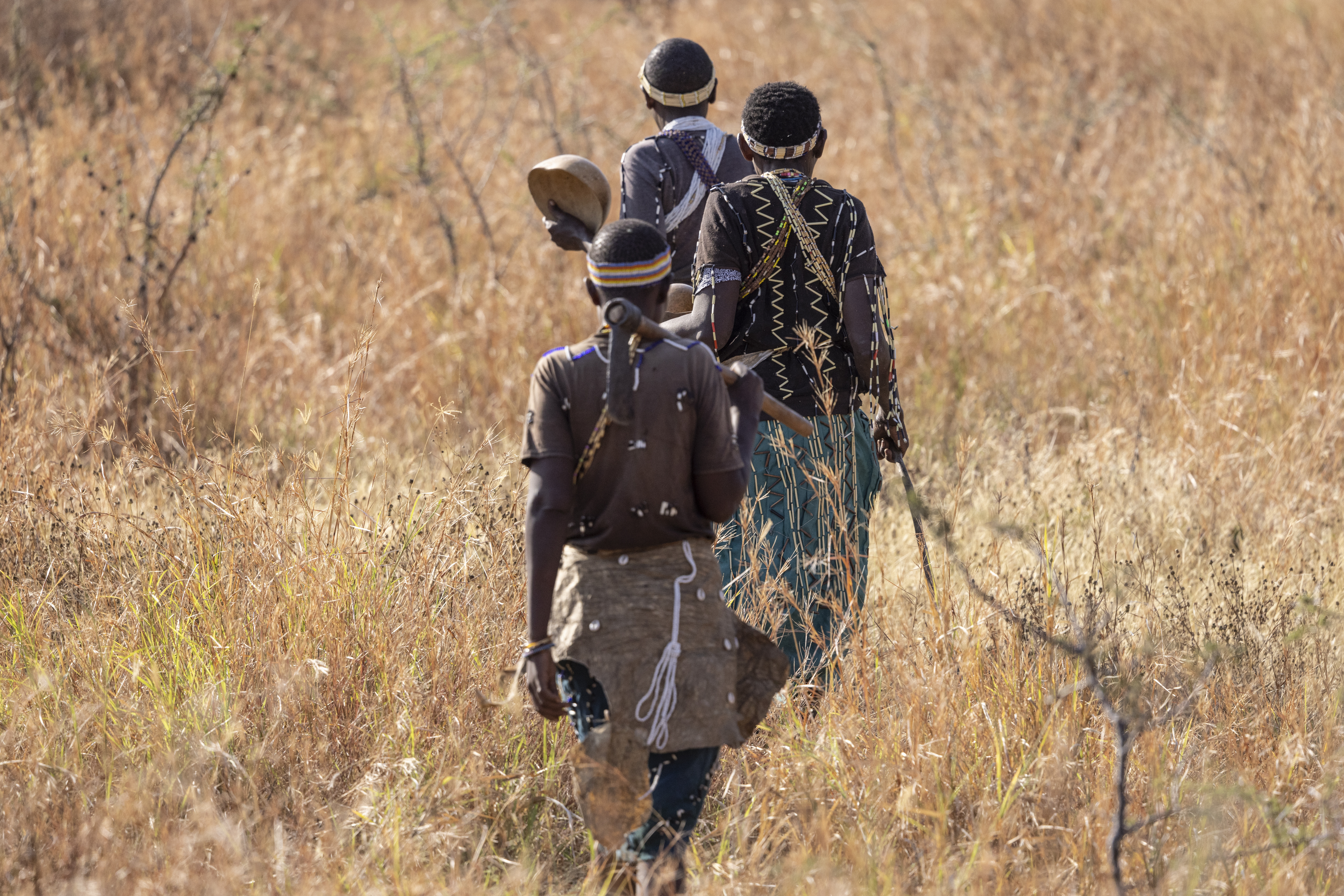 Three Hadzabe tribe members walking through tall grass