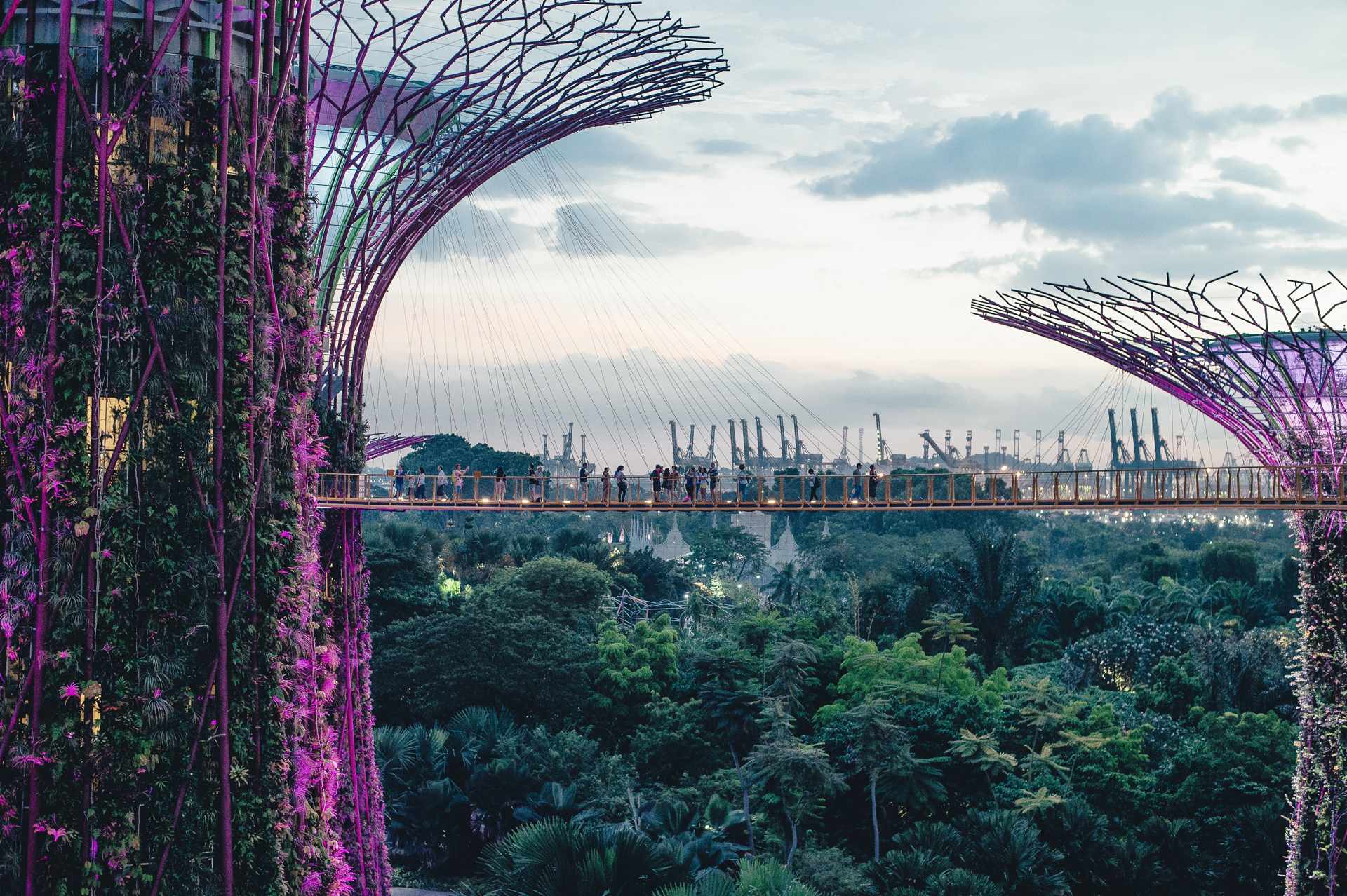 People on a walkway bridge at Singapore airport
