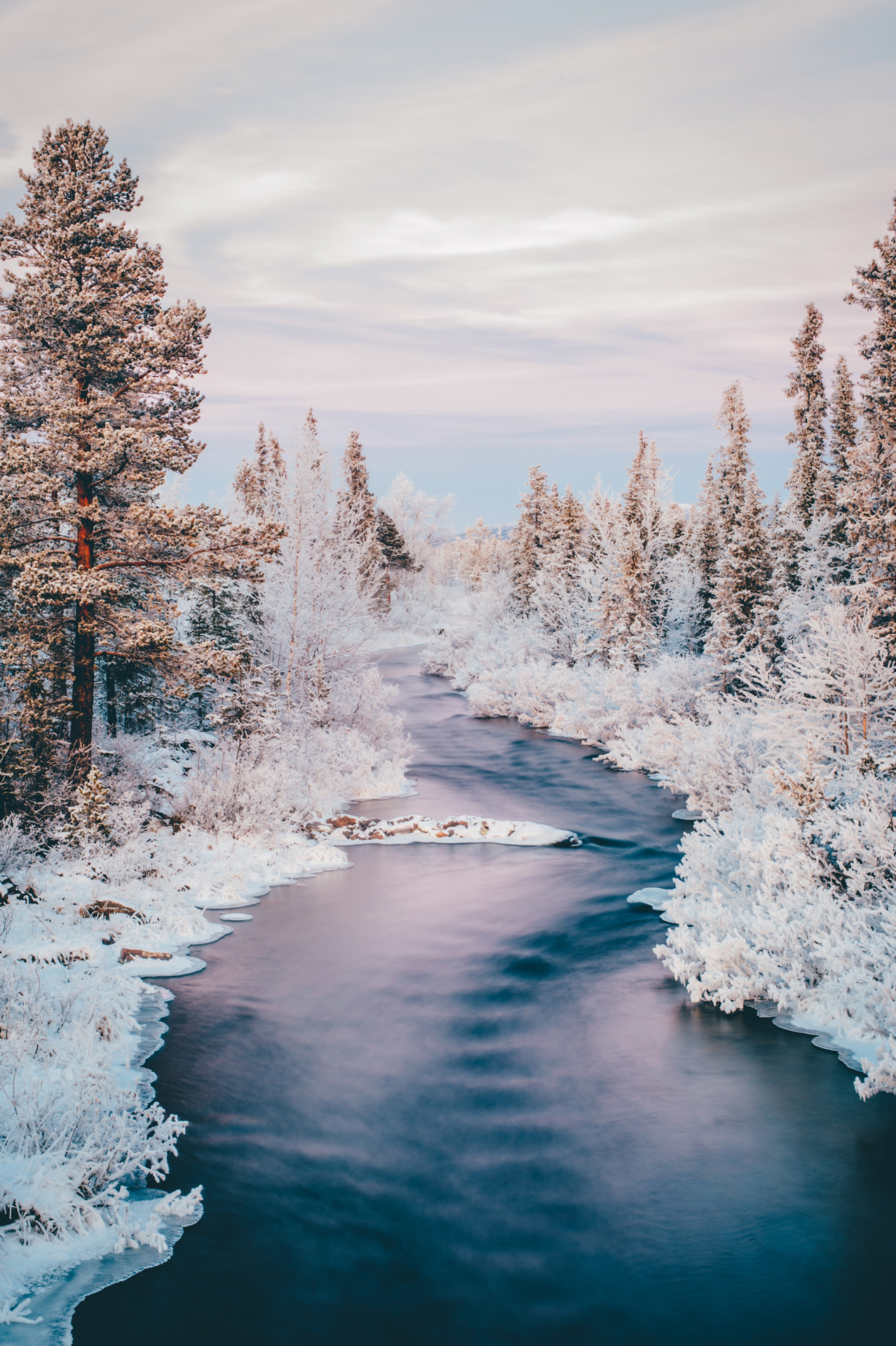 A river flowing between snow covered trees