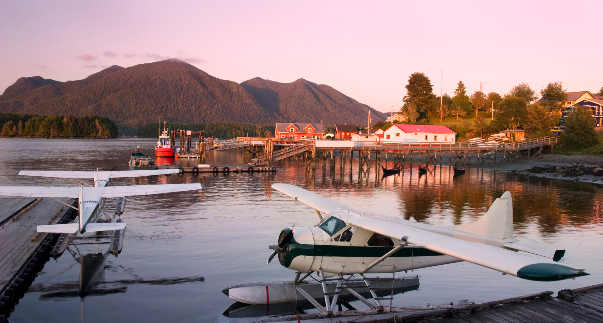 Seaplanes docked at Tofino Harbor as the sun sets