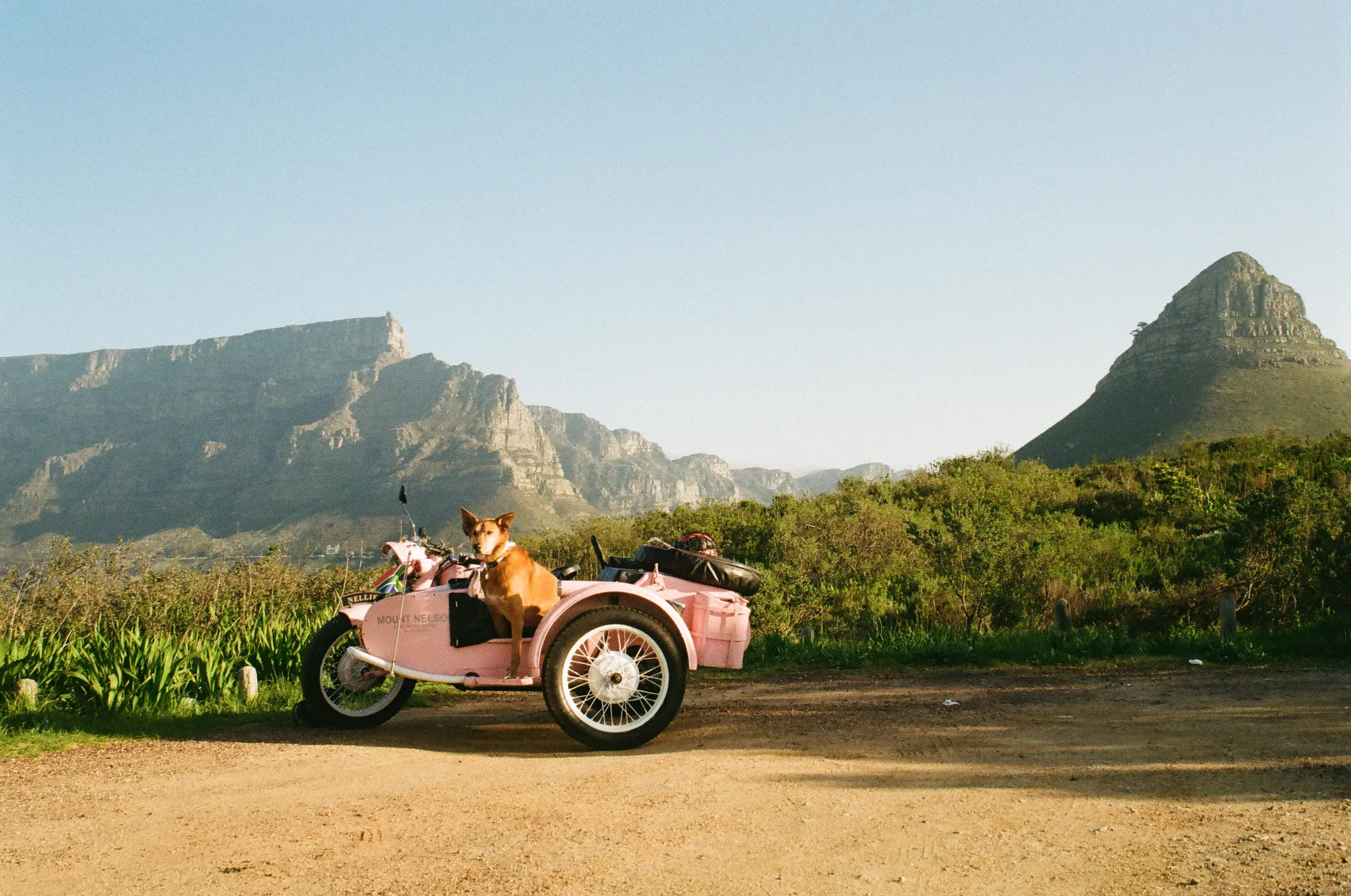 Dog sitting in a pink sidecar motorcycle parked on a dirt road with mountains and greenery in the background.