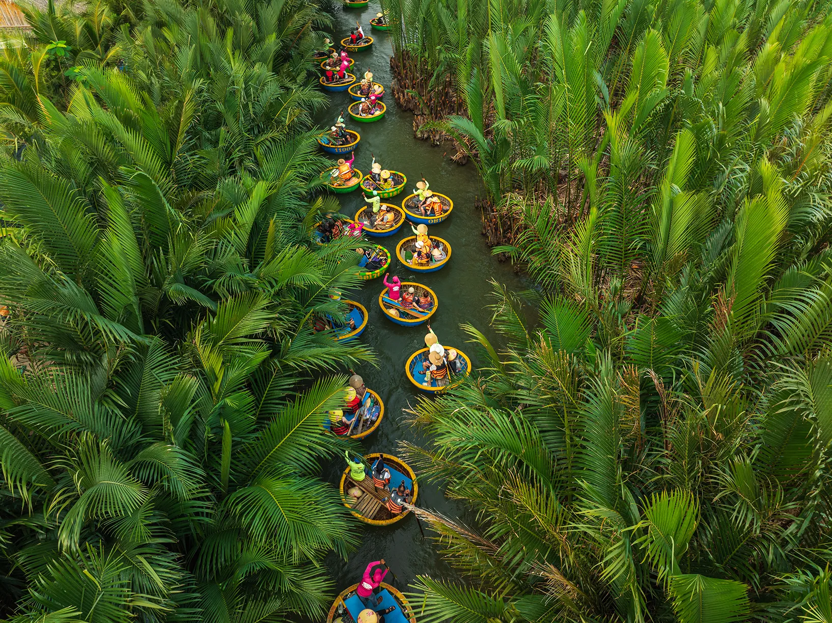 Drone view basketboat tours in Bay Mau nipa palm forest - Hoi An, Quang Nanm Da Nang province, central Vietnam