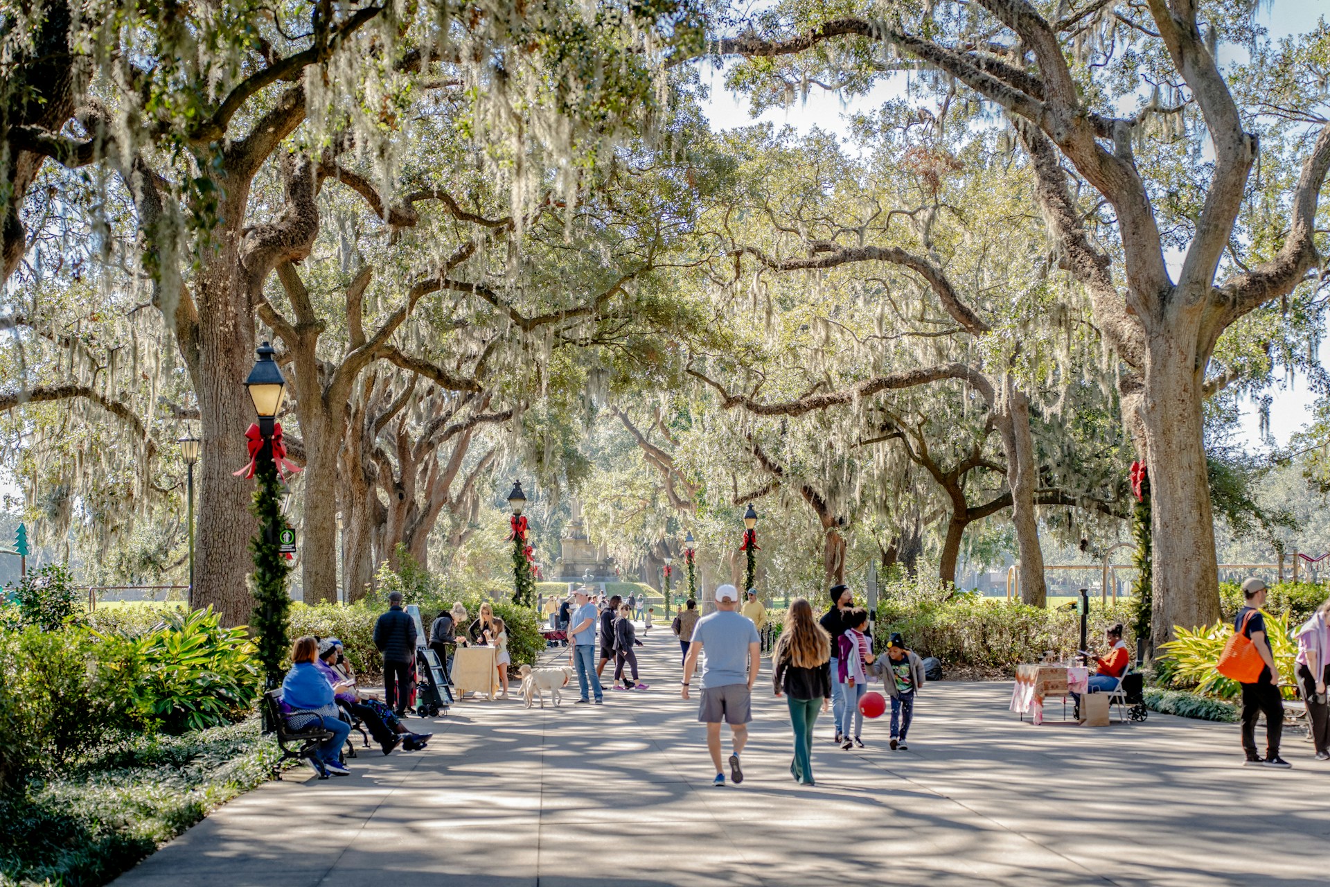 Tree-lined walkway beneath sprawling oak trees draped with Spanish moss in Savannah, Georgia