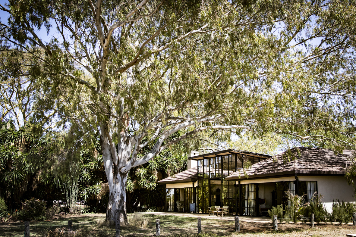 A glass-fronted villa below a large tree