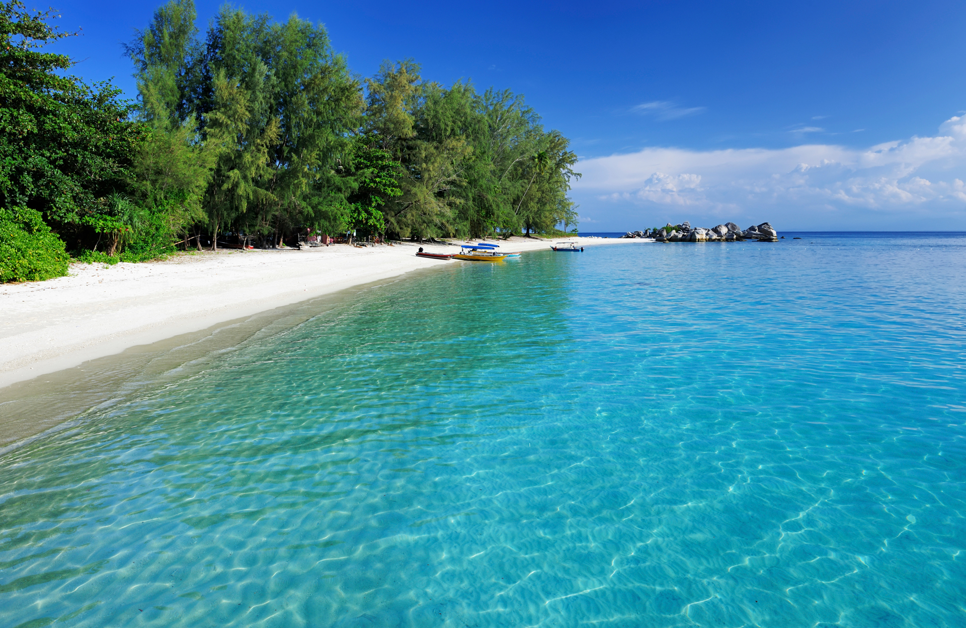 a beach with clear water and trees