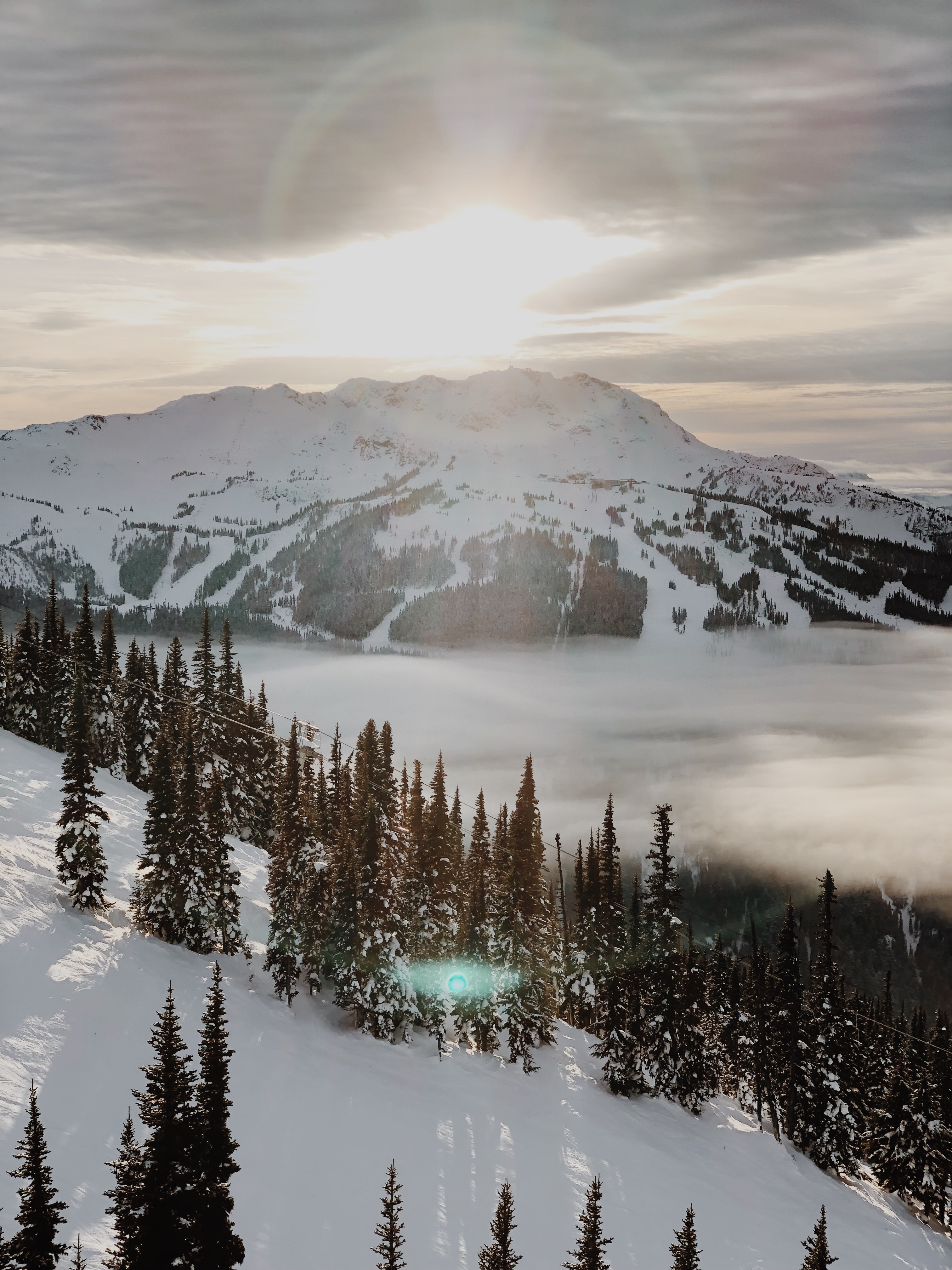 Aerial photography of trees on hill in Whistler