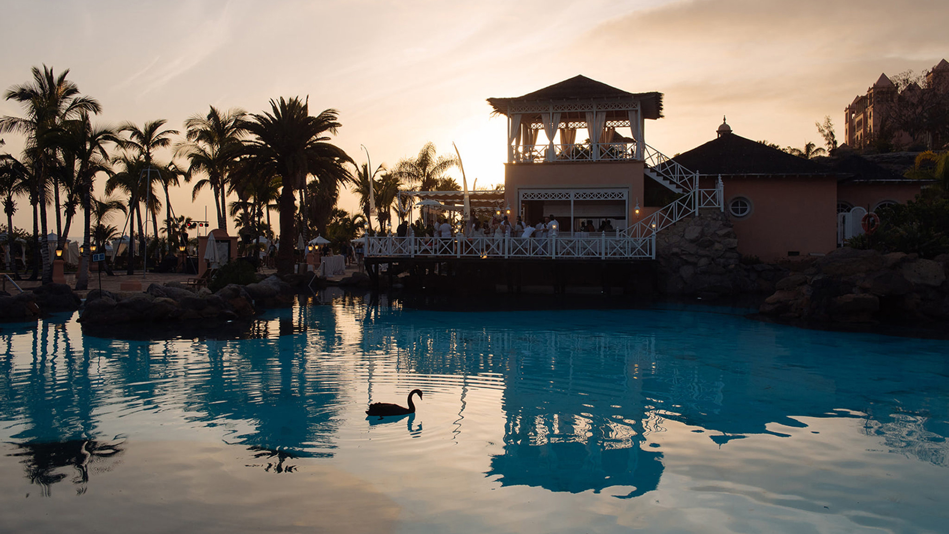 Europe, Spain, Tenerife, Bahia del Duque, Pool