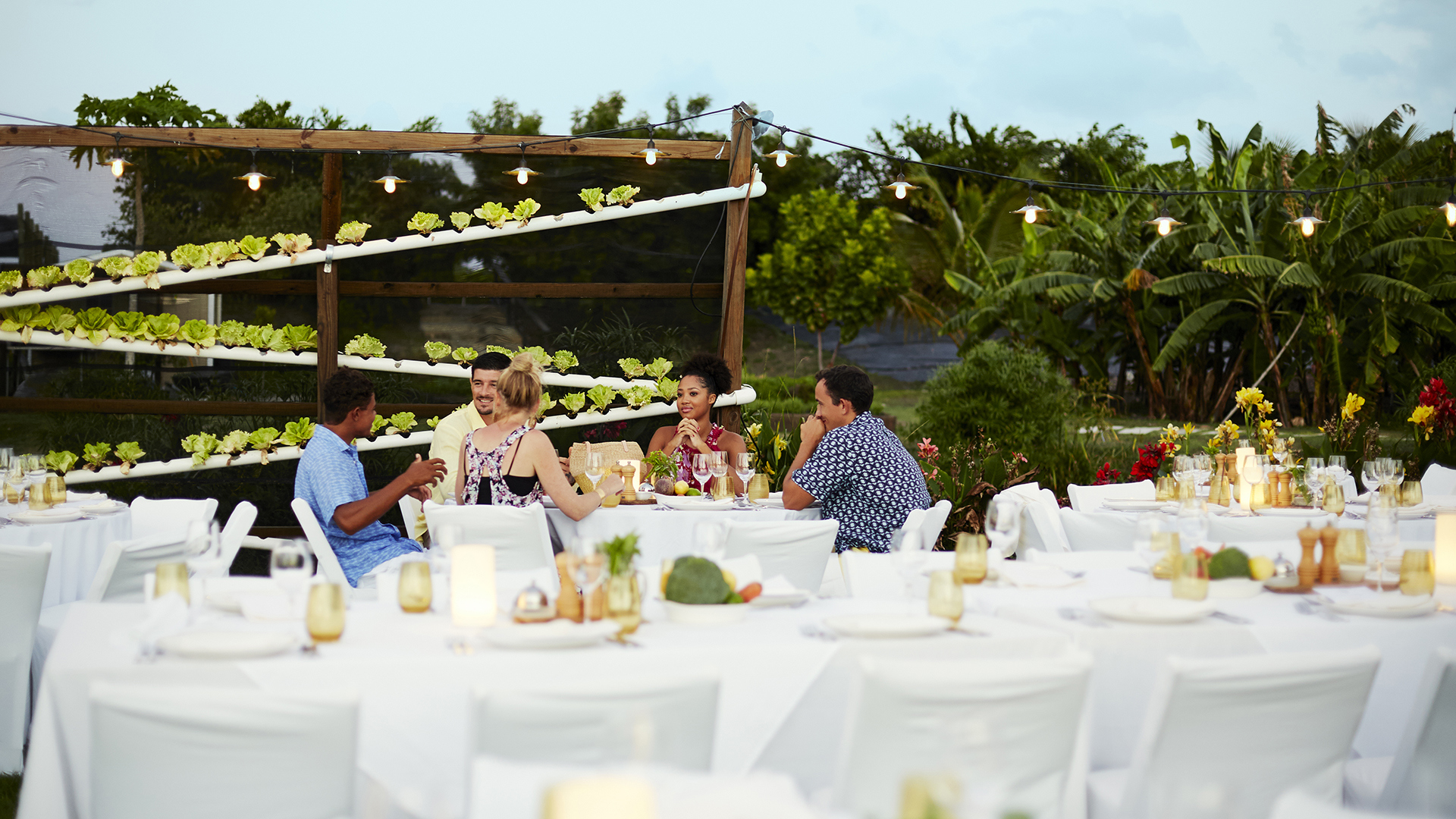 Caribbean, Antigua, Jumby Bay, Farm Dinner