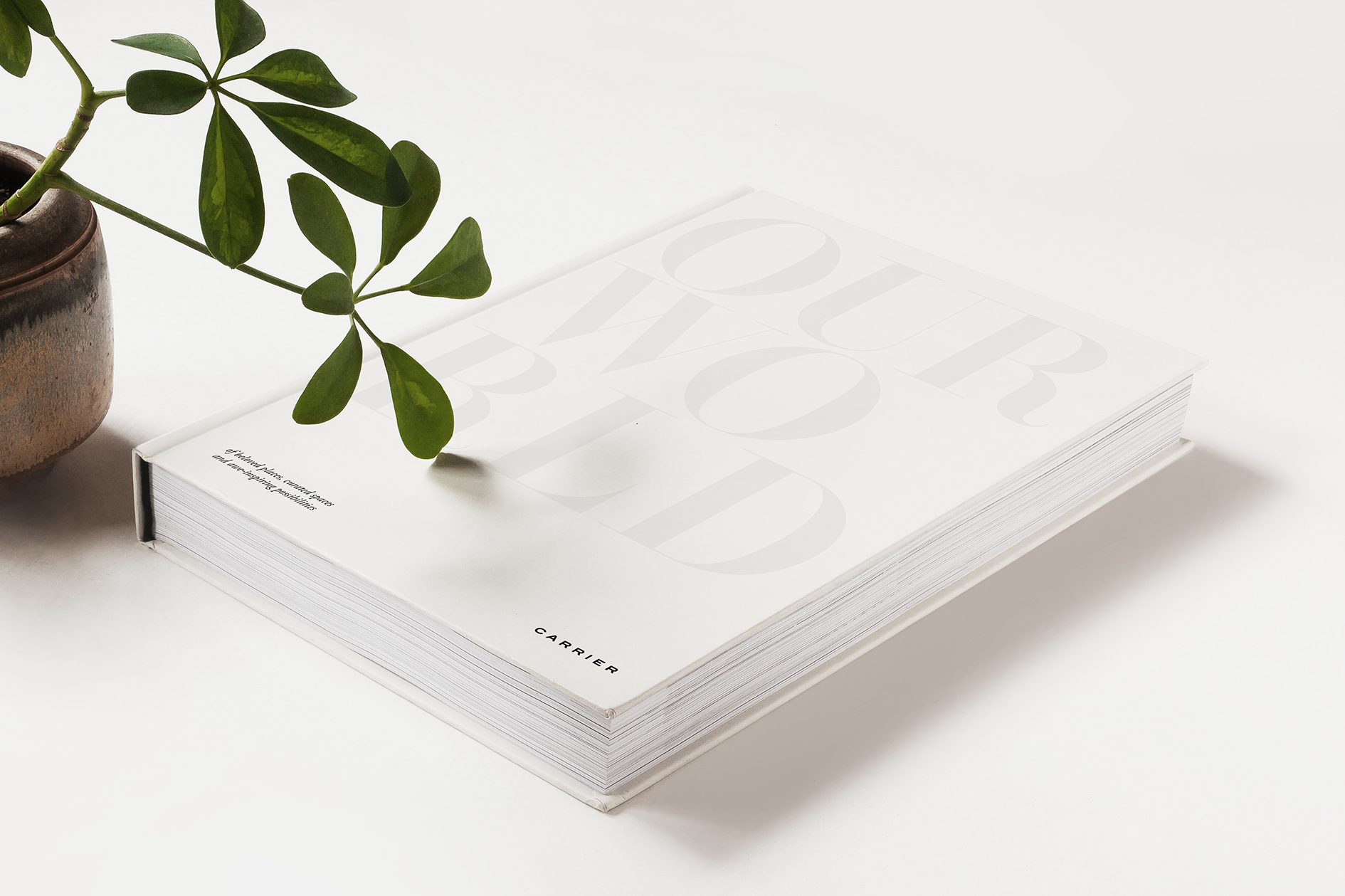 The Our World brochure book lays closed on a white surface, a potted plant sits to its right