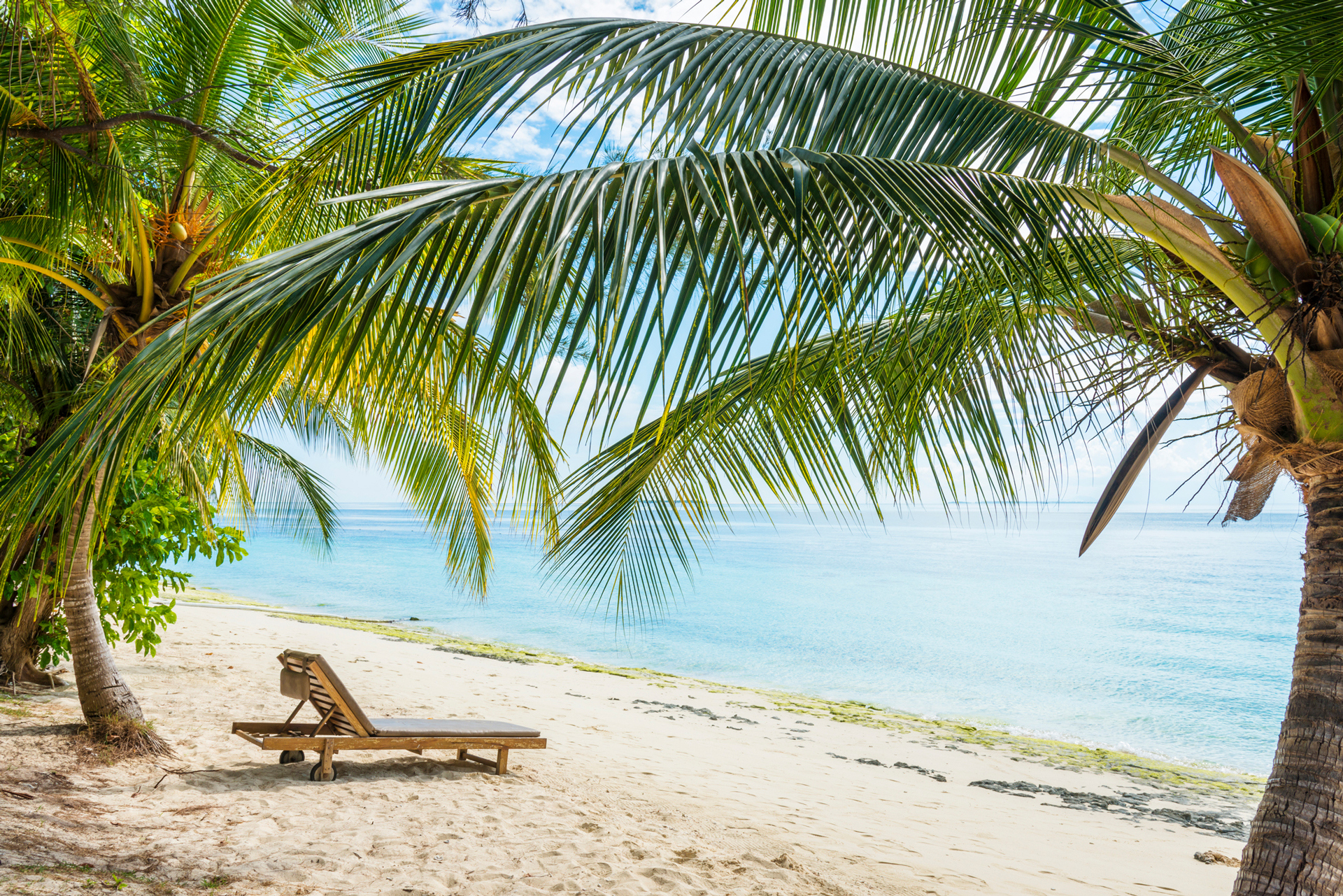 A lounger on a beach surrounded by palm trees