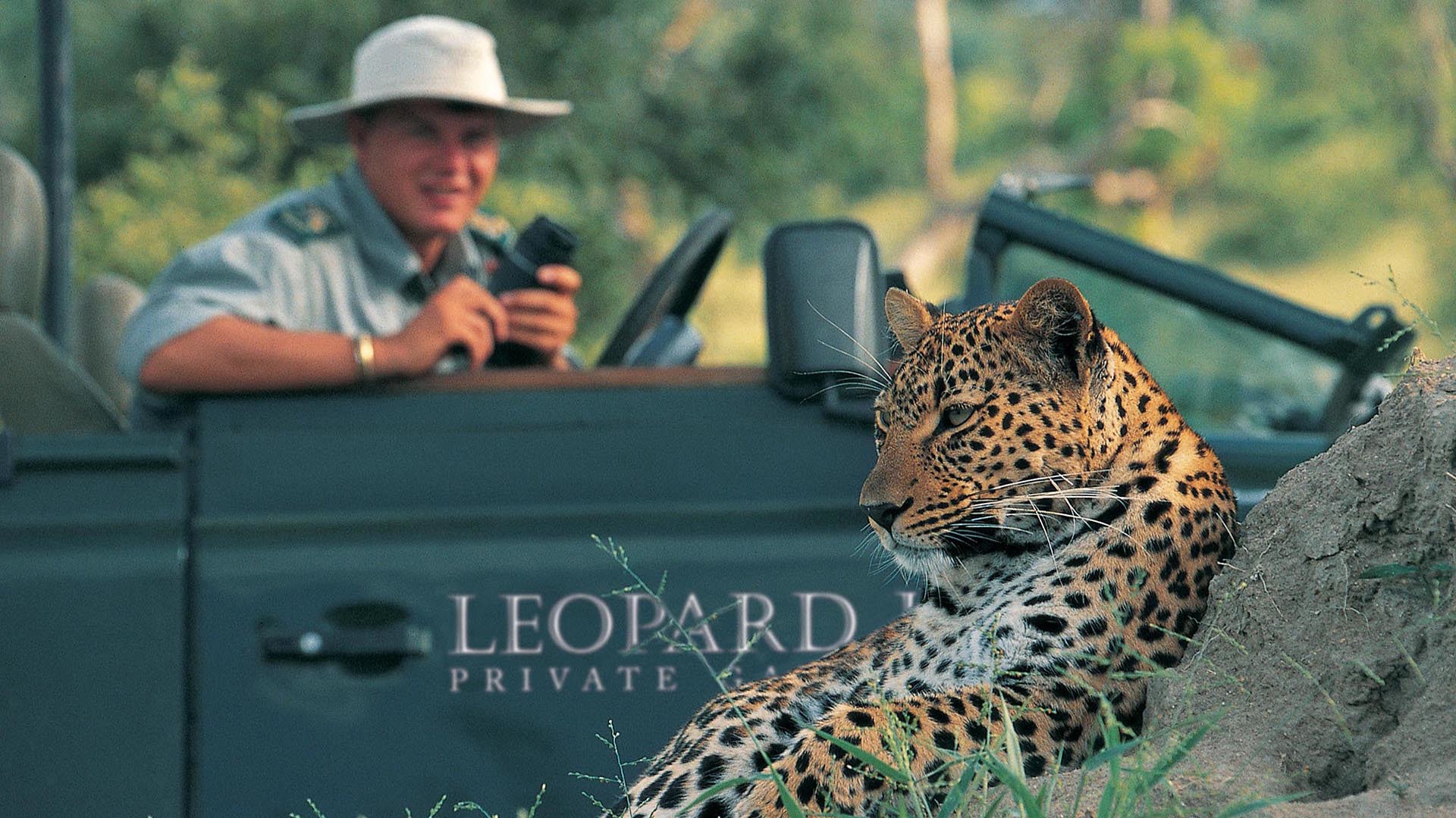  Africa, South Africa, Leopard Hills Private Game Reserve, Game drive car and leopard