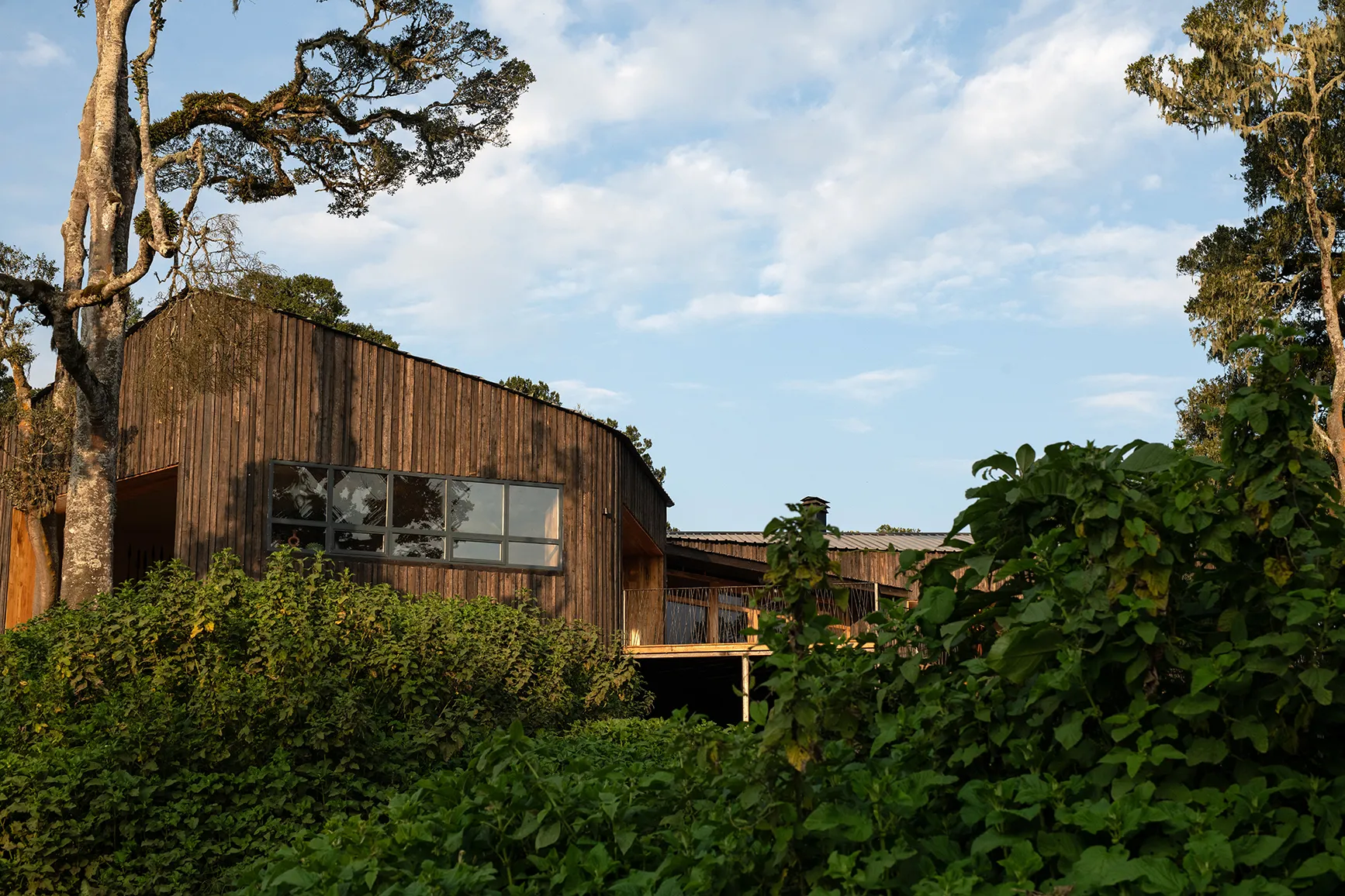 Wood-clad lodge surrounded by lush greenery and tall trees in Tanzania