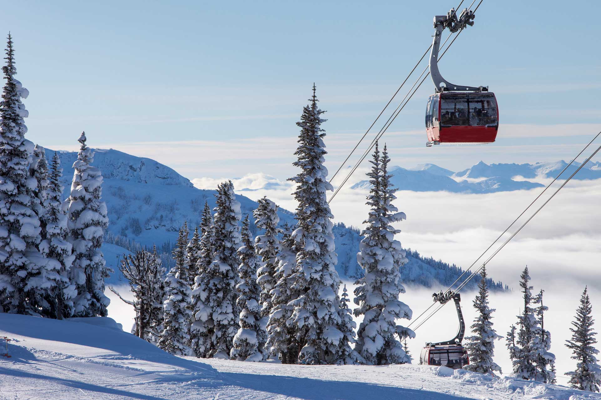 A ski resort gondola passing over snow covered trees