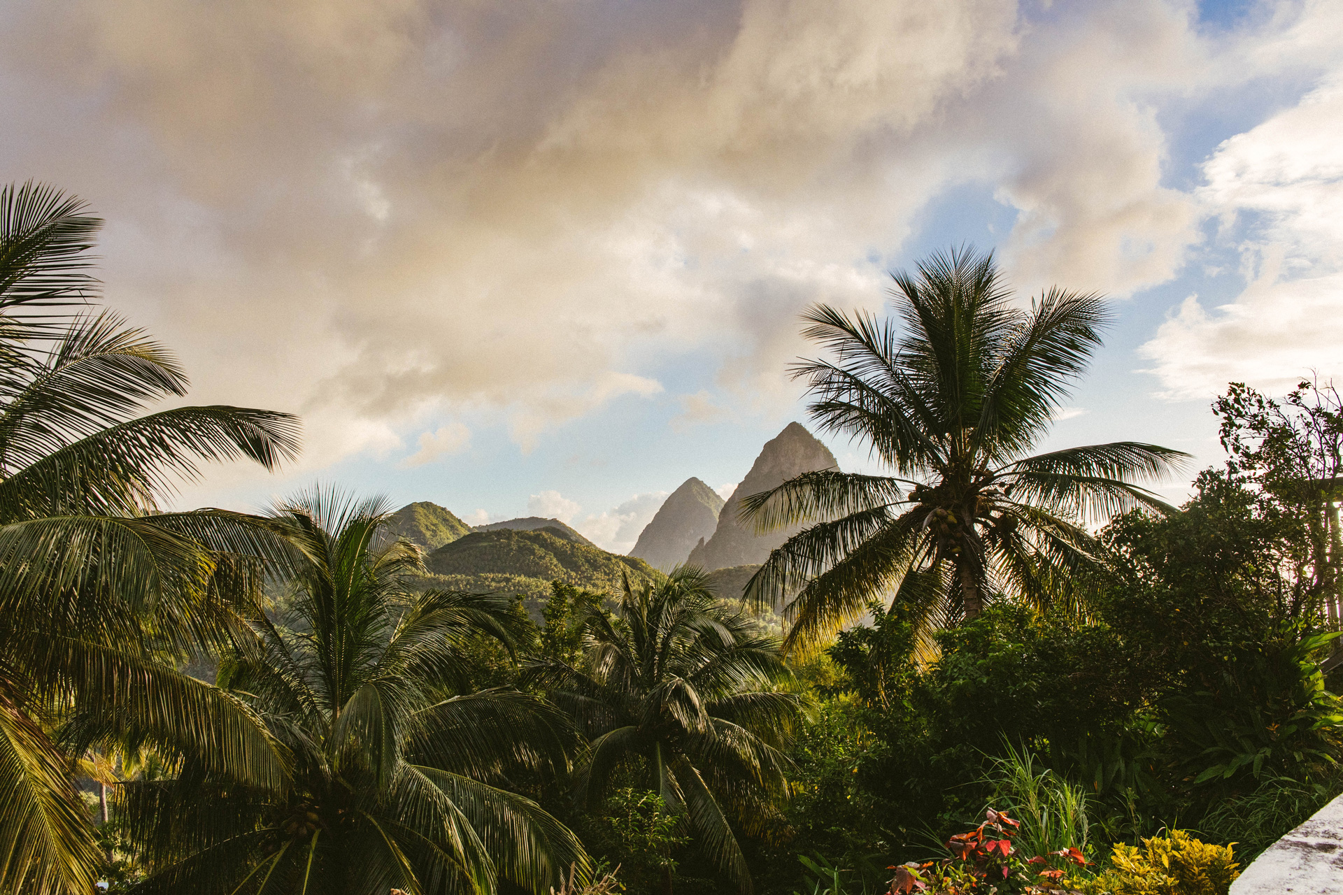 Green palm trees near a mountain under a cloudy sky