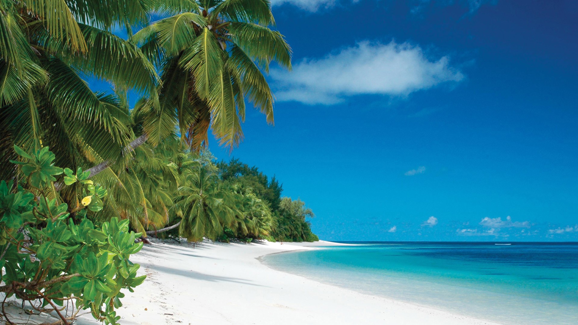 Indian ocean, Seychelles, Desroches island, Beach