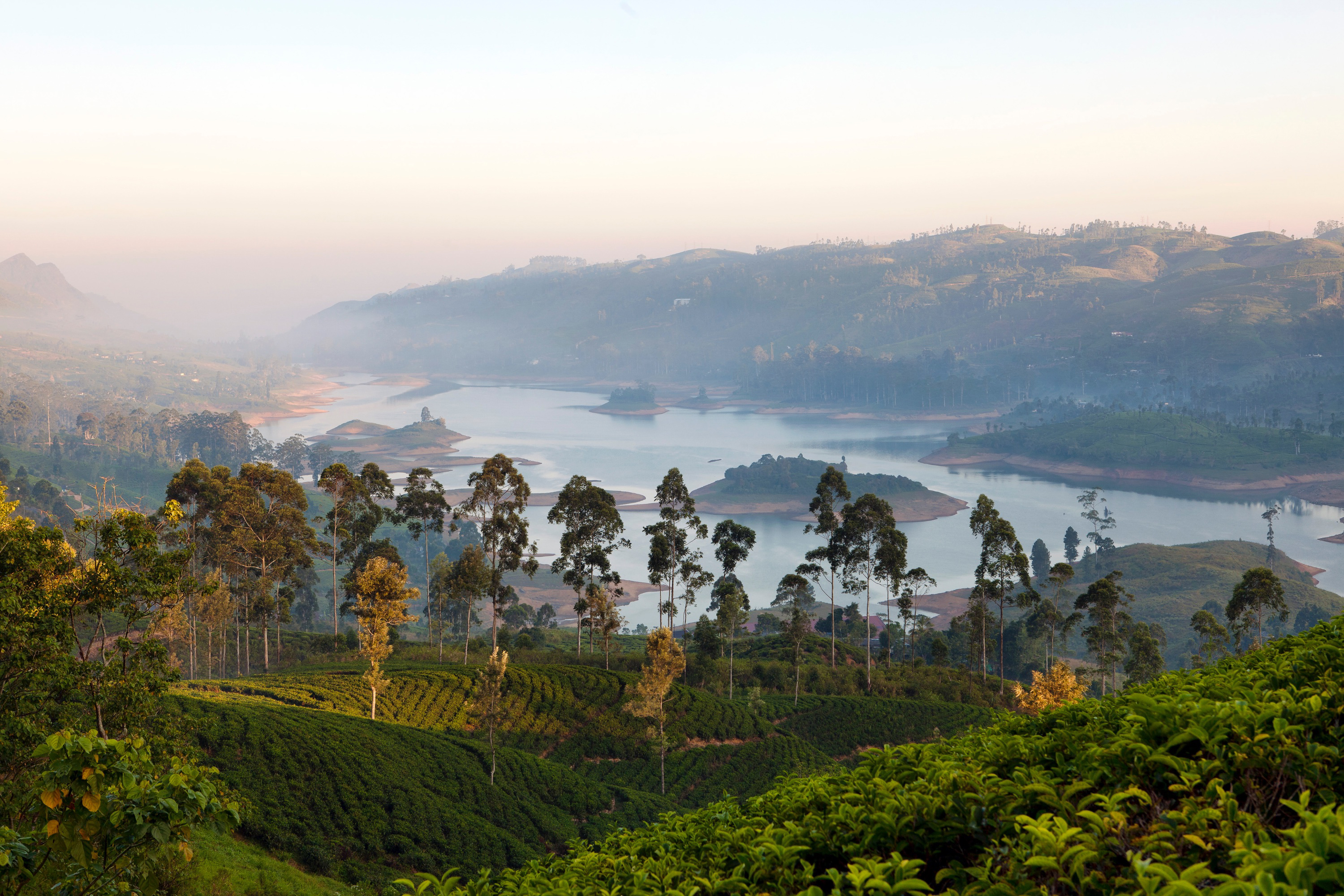 The misty lakeside landscape surrounding Ceylon Tea Trails at golden hour