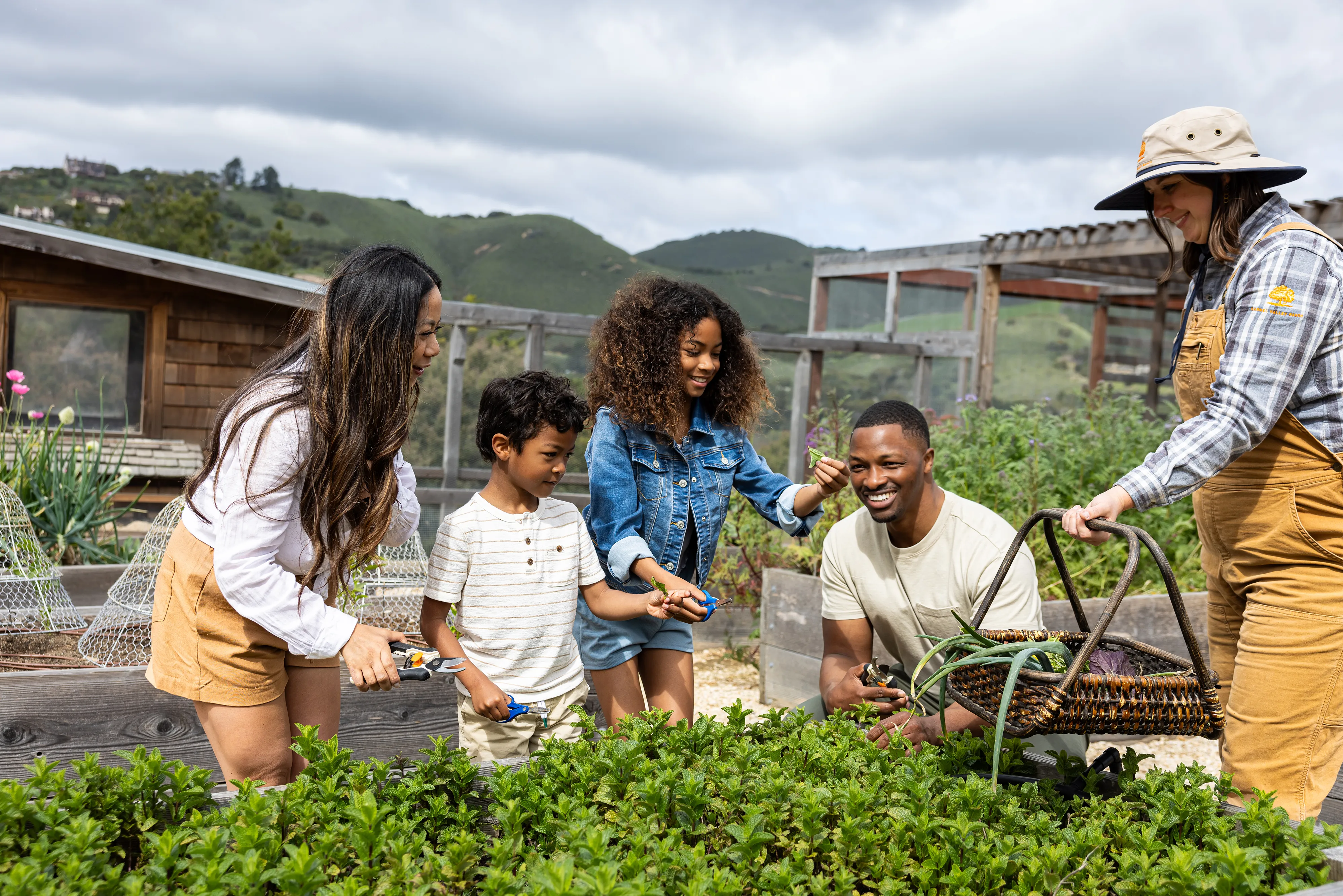 A group of guests picking herbs in the organic garden at Carmel Valley Ranch in California with a gardener on hand with a basket 