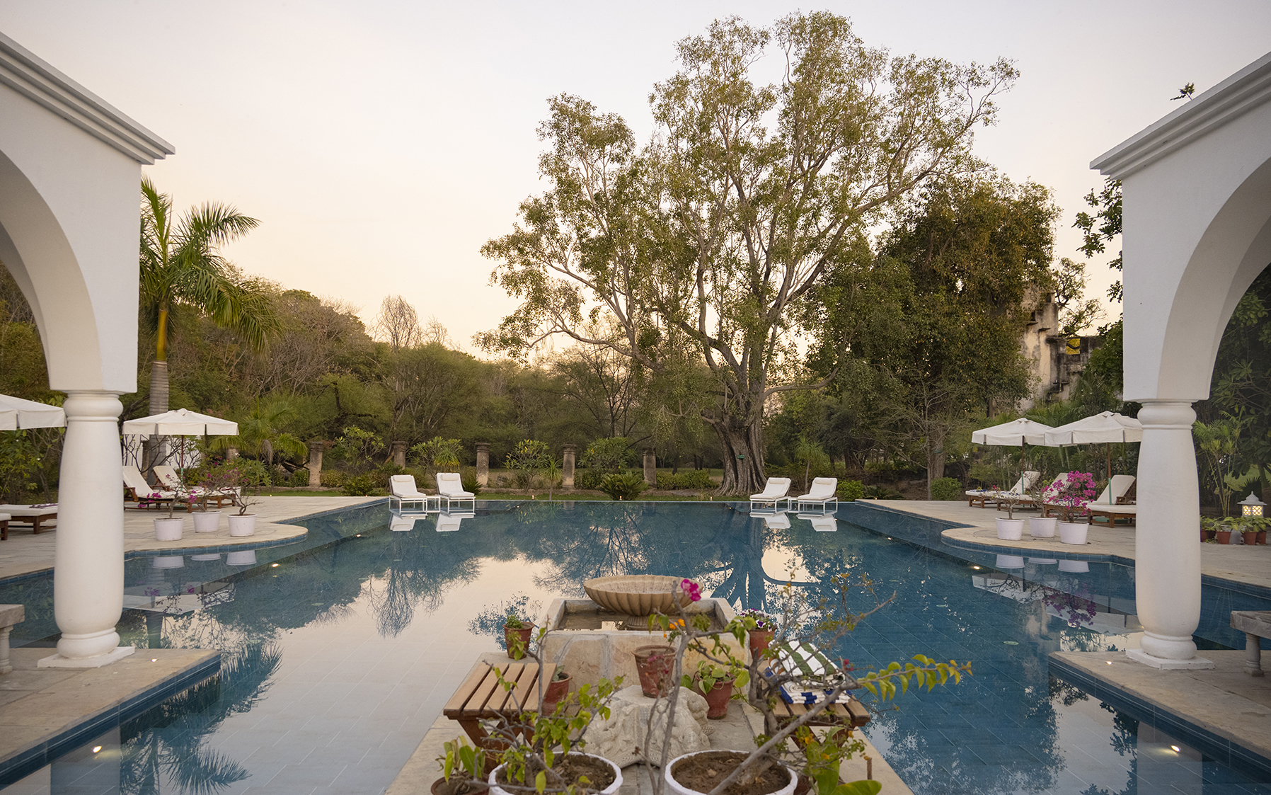 Asia, India, Shahpura Bagh, pool with sunloungers 