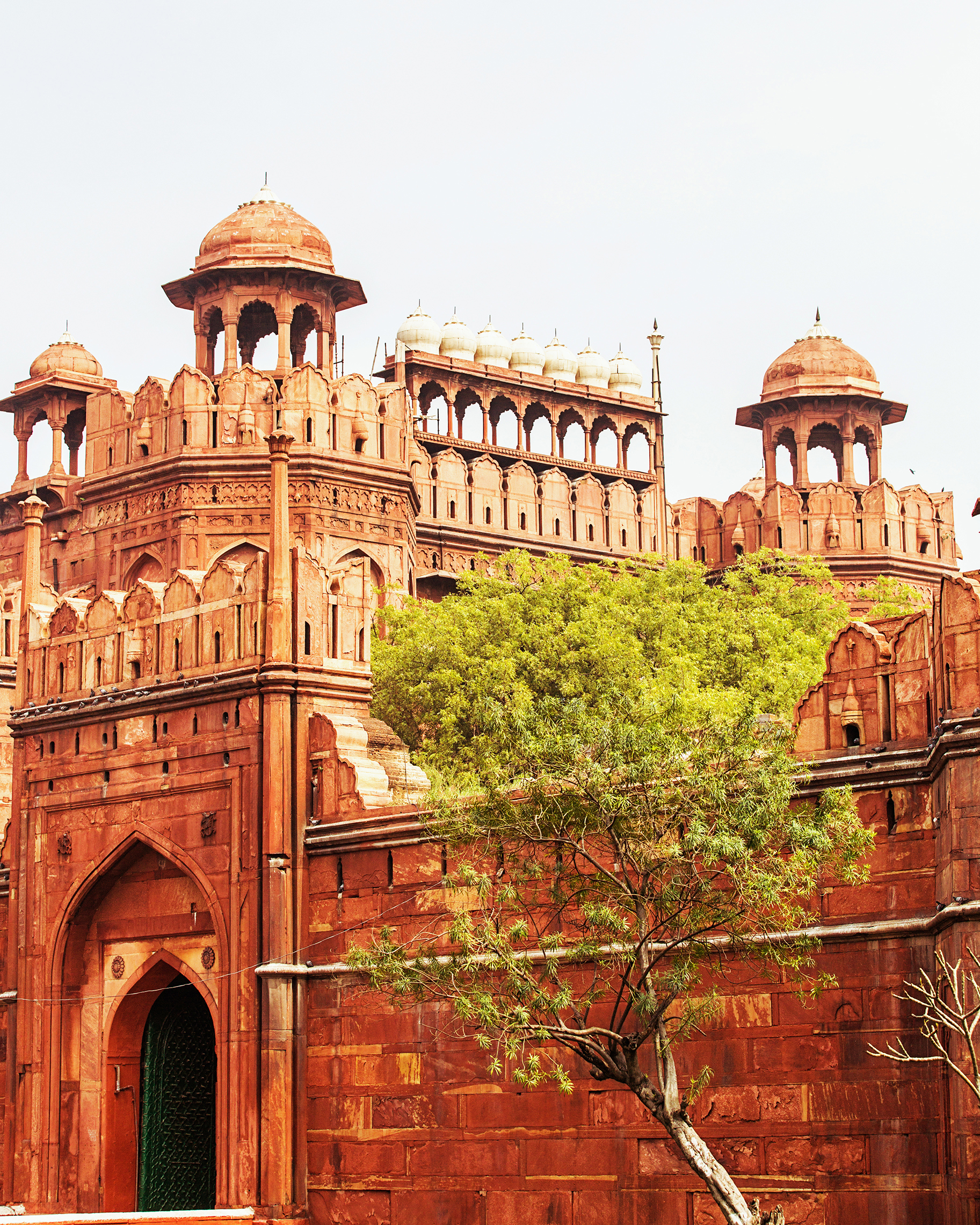 Turrets and walls of the Red Fort in Delhi with a free in the foreground 