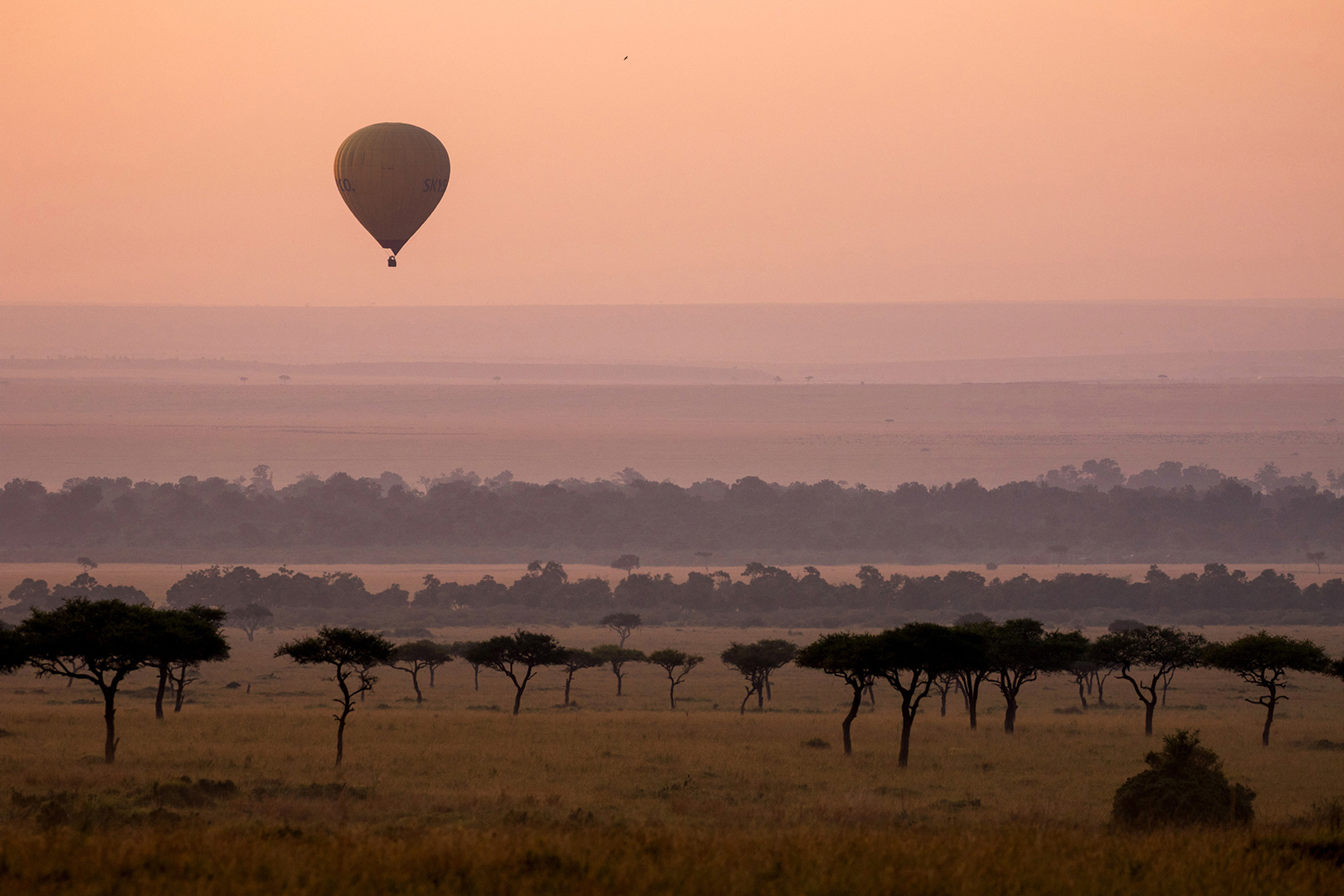 Africa, Kenya, Angama Mara, Hot air balloon