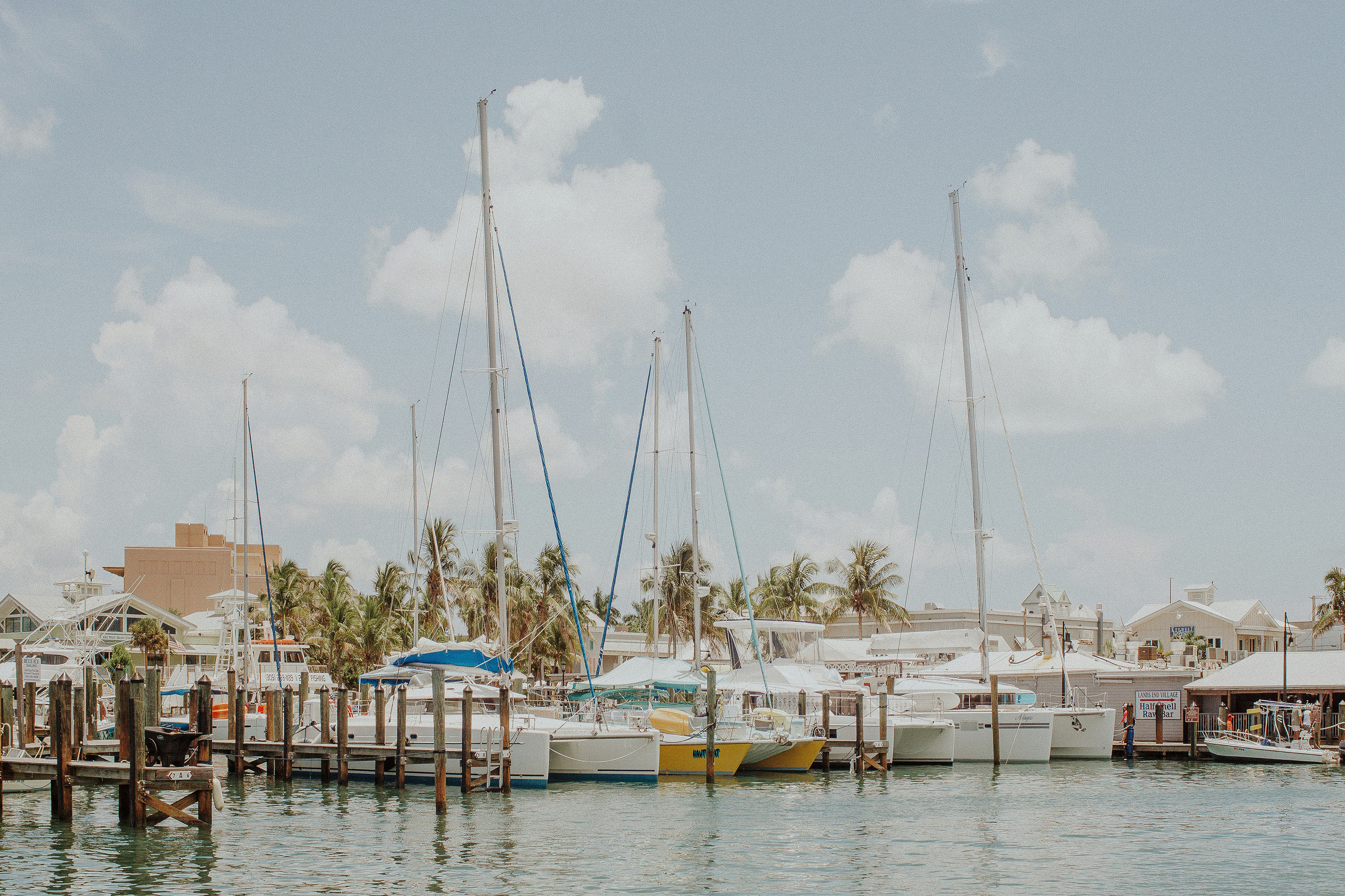 Yachts anchored in a marina on the Florida Keys