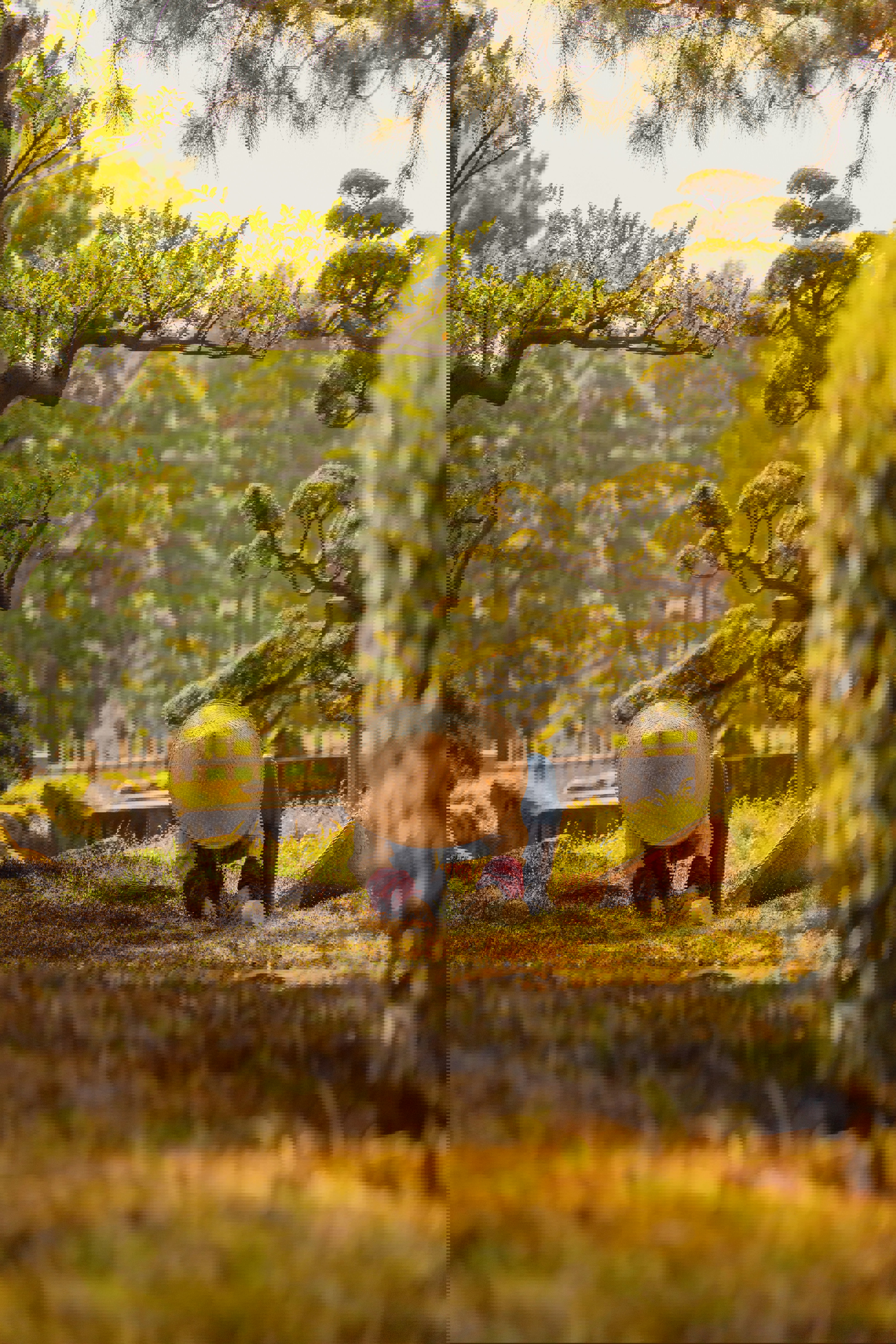 A person in a traditional Japanese straw hat gardening beneath trees