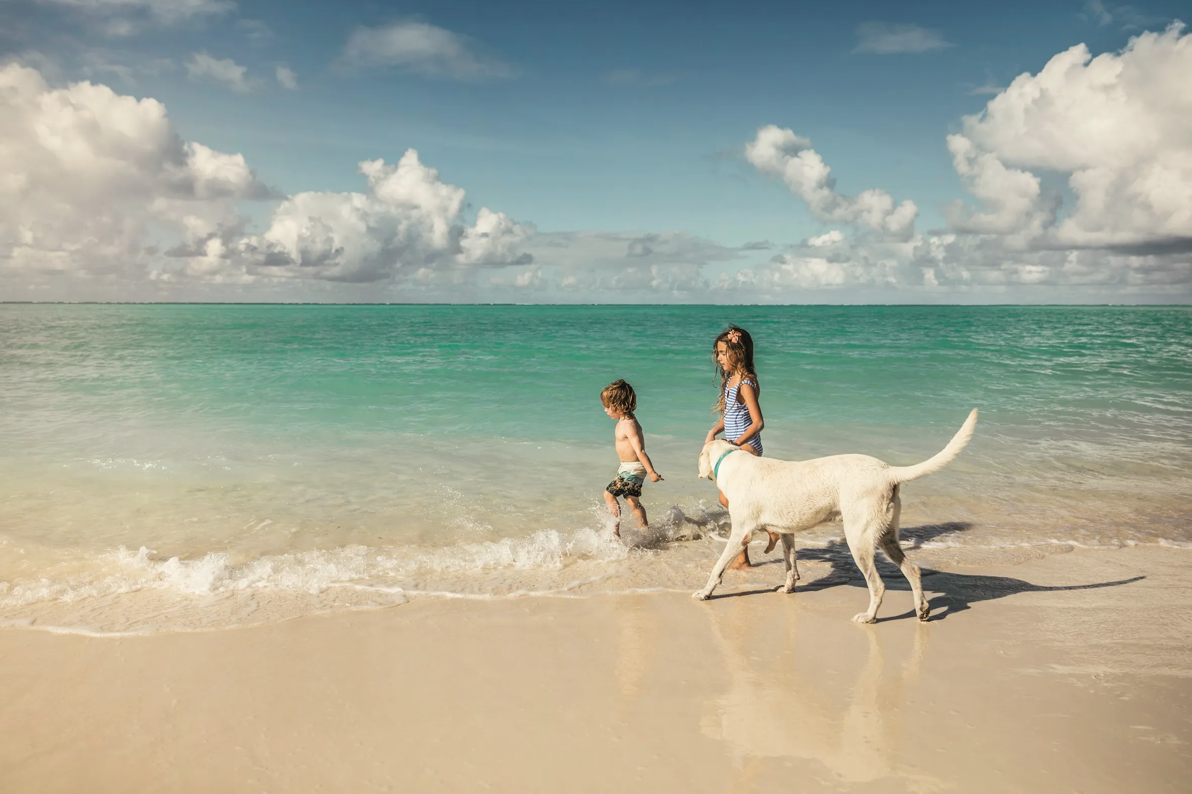 Two children and a dog walking along a beach with turquoise water under a partly cloudy sky