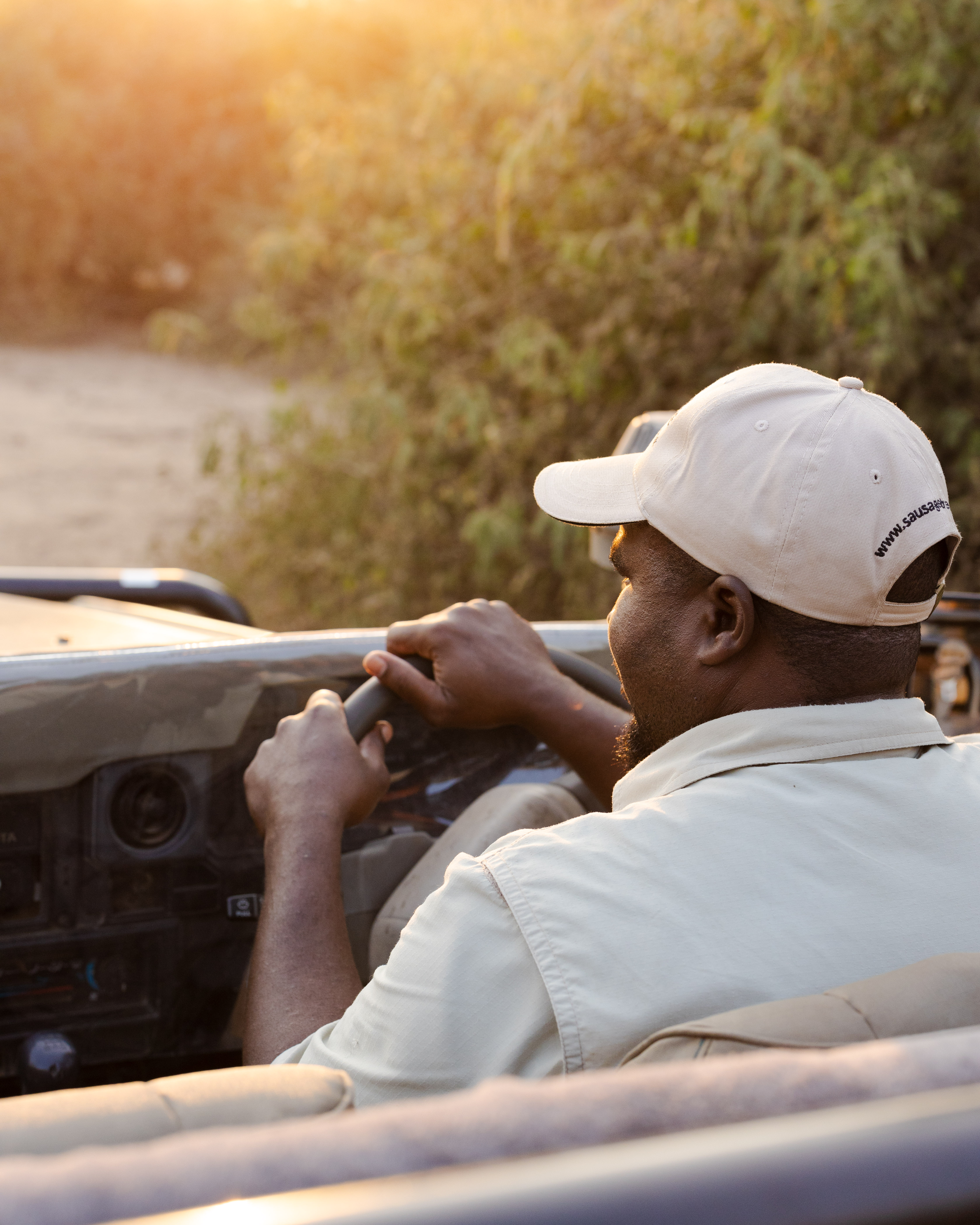 Man driving a safari jeep at sunset with lush greenery in the background.
