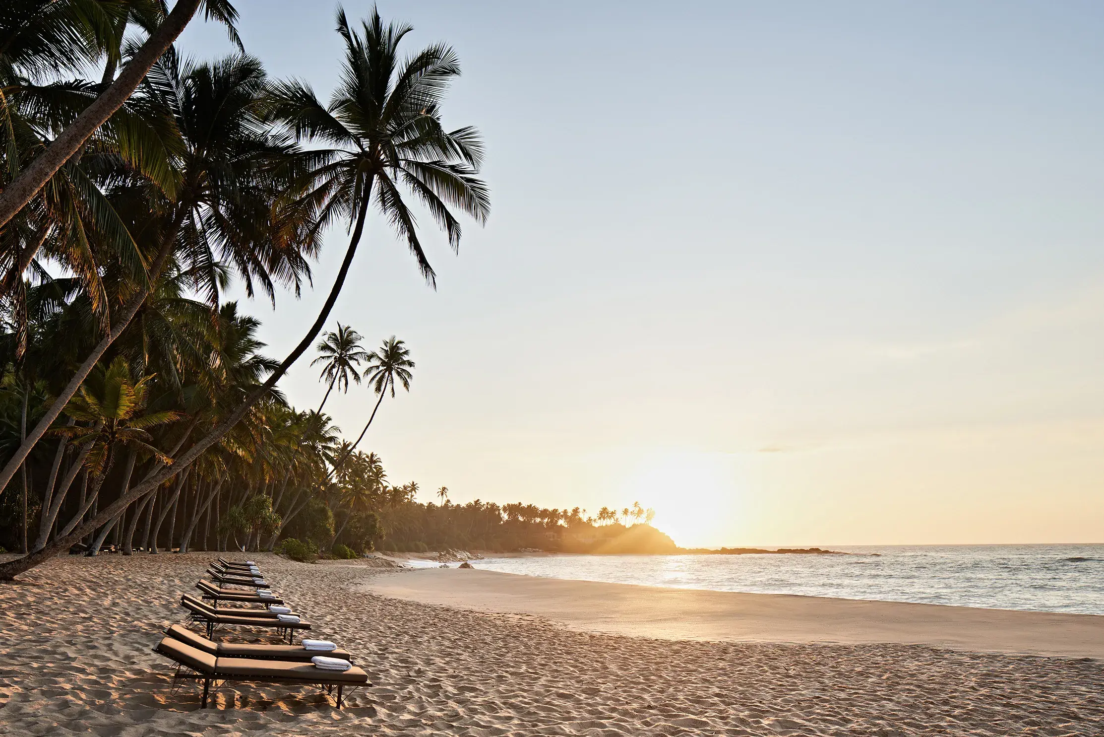 Sun loungers on a pristine sandy beach at Amanwella Sri Lanka, lined with tall palm trees and overlooking a tranquil ocean at sunset.