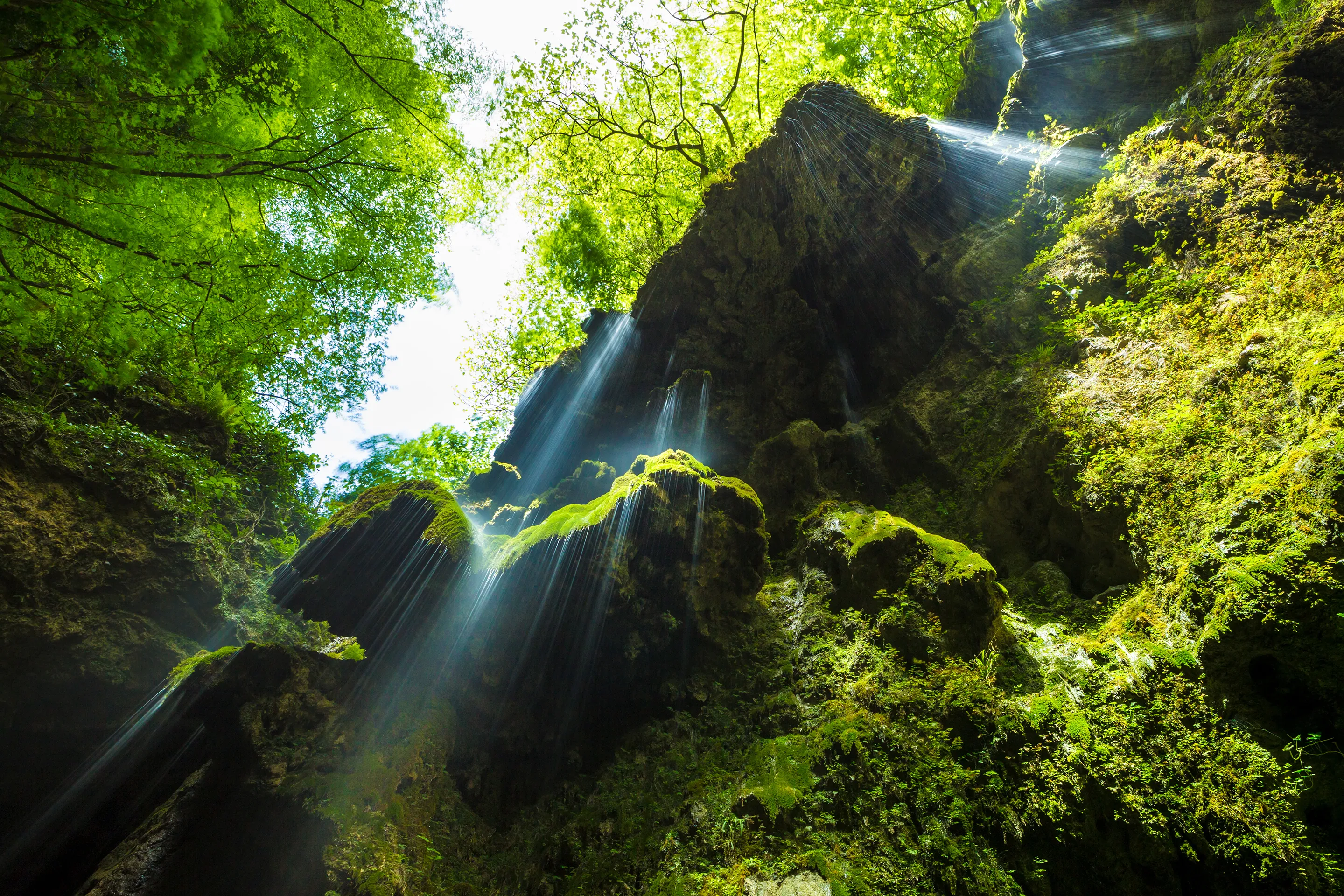 Sunlight streaming through lush green trees onto moss-covered rocks in a serene forest waterfall in Valle delle Ferriere Nature Reserve.