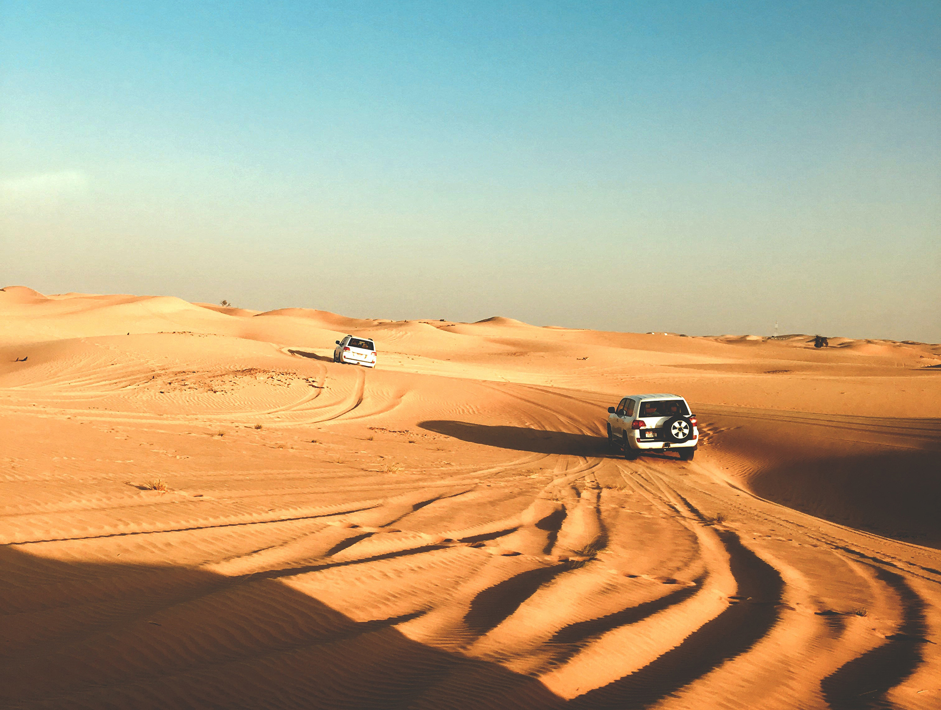 Two white sports utility vehicles driving in the desert