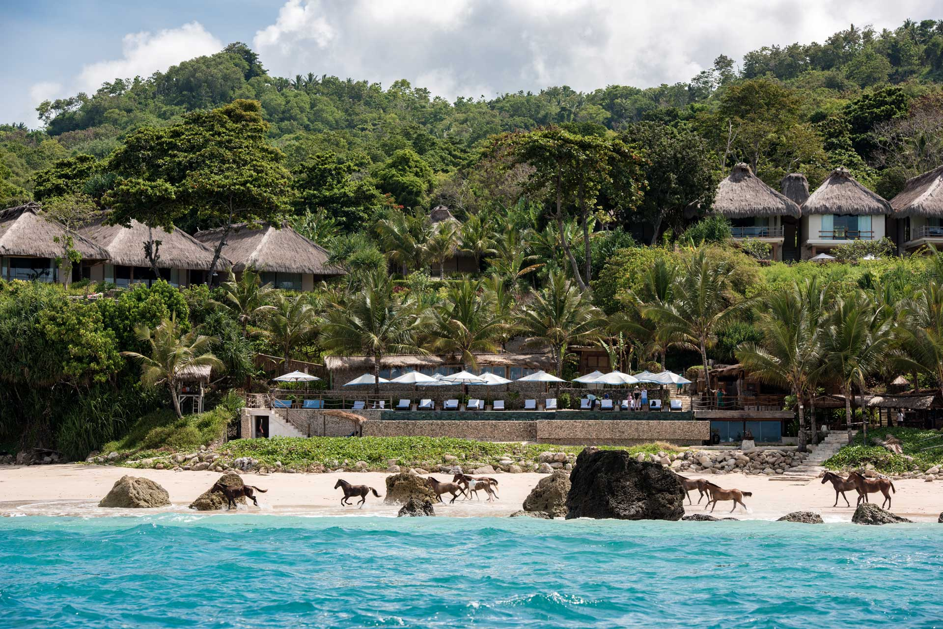 Beachfront resort with thatched villas and palm trees, with a group of horses running along the shoreline by turquoise water.