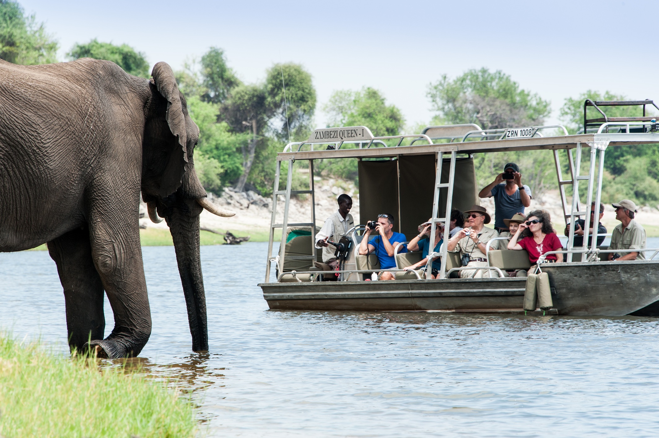Guests observing elephants from a safari boat near the Zambezi Queen