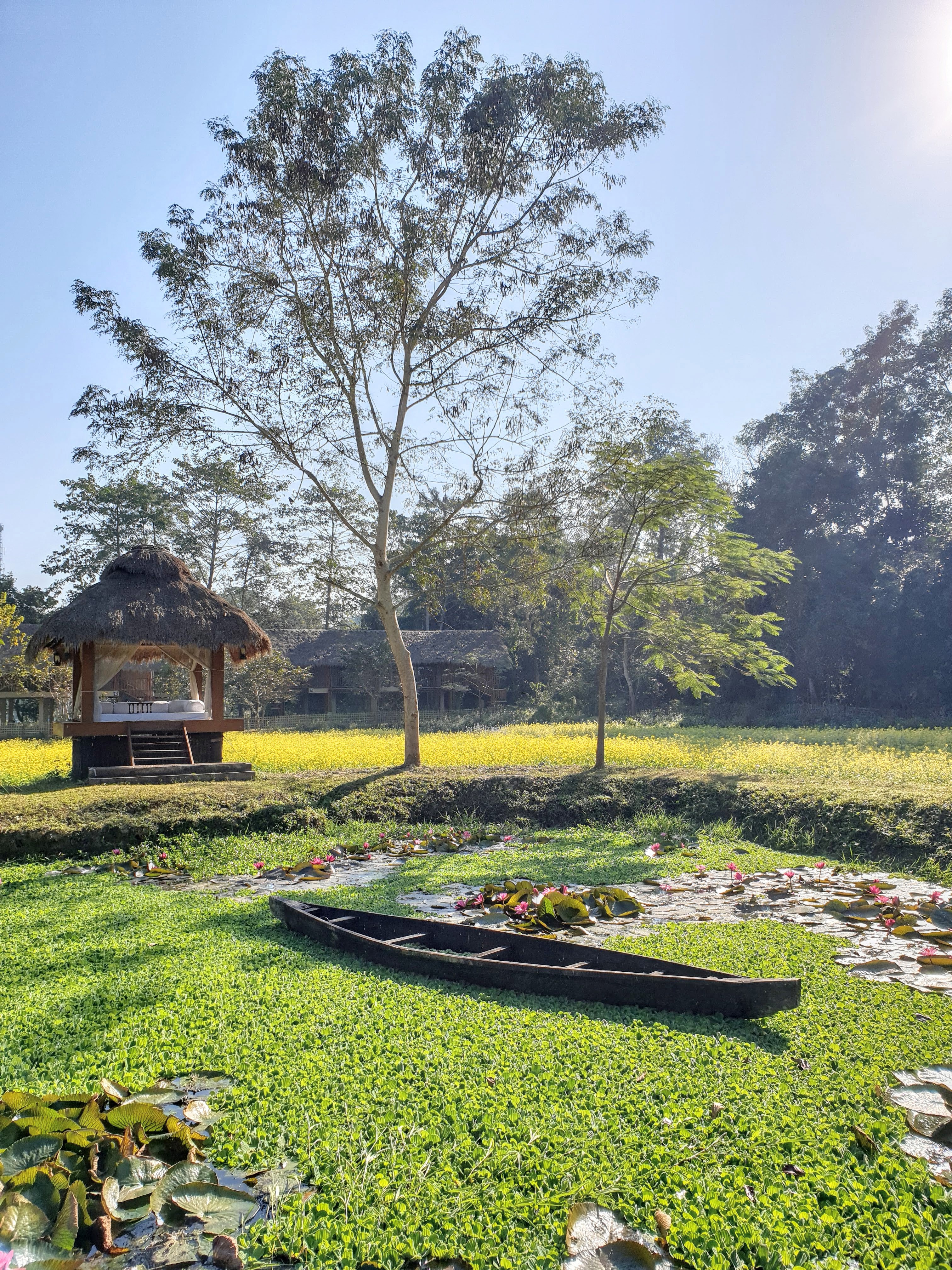 Long wooden boat floating in a foliage-covered lake at Diphlu River Lodge with trees and a small covered seating area on the lake's bank