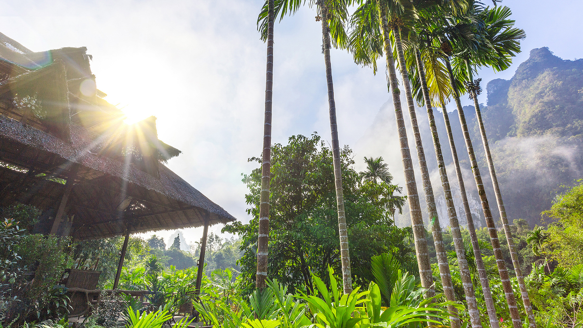  Elephant Hills, Thailand, The Elephant Camp