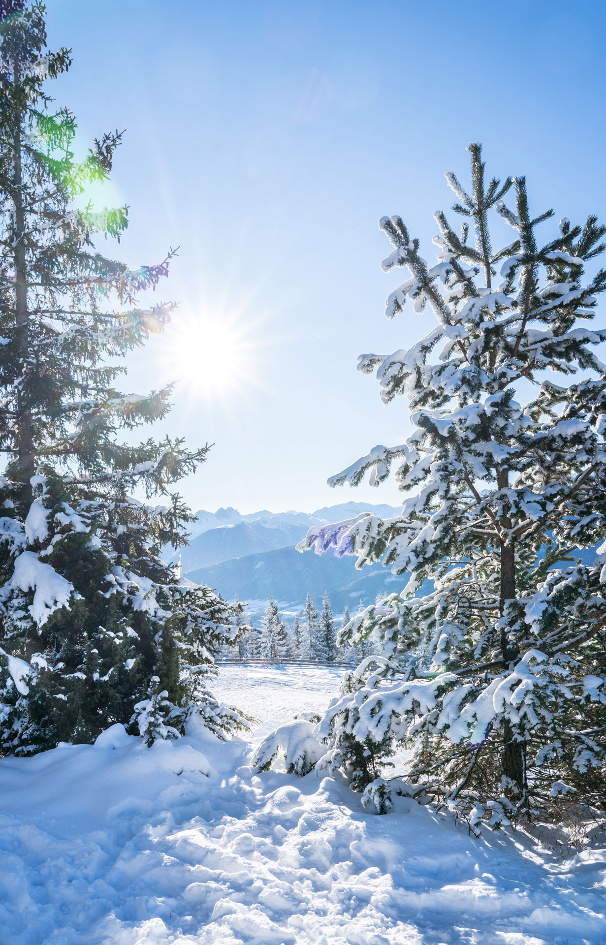 A view between snow covered trees of distant alpine mountains