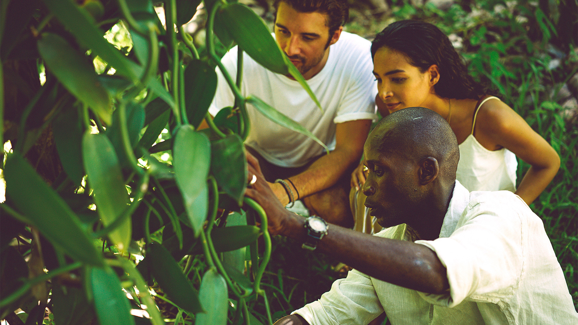 A couple being shown by a guide at Vanilla Plantations