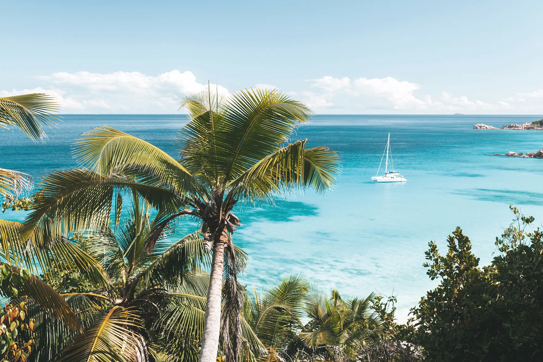 A yacht off the coast of Barbdos with palm trees in the foreground 