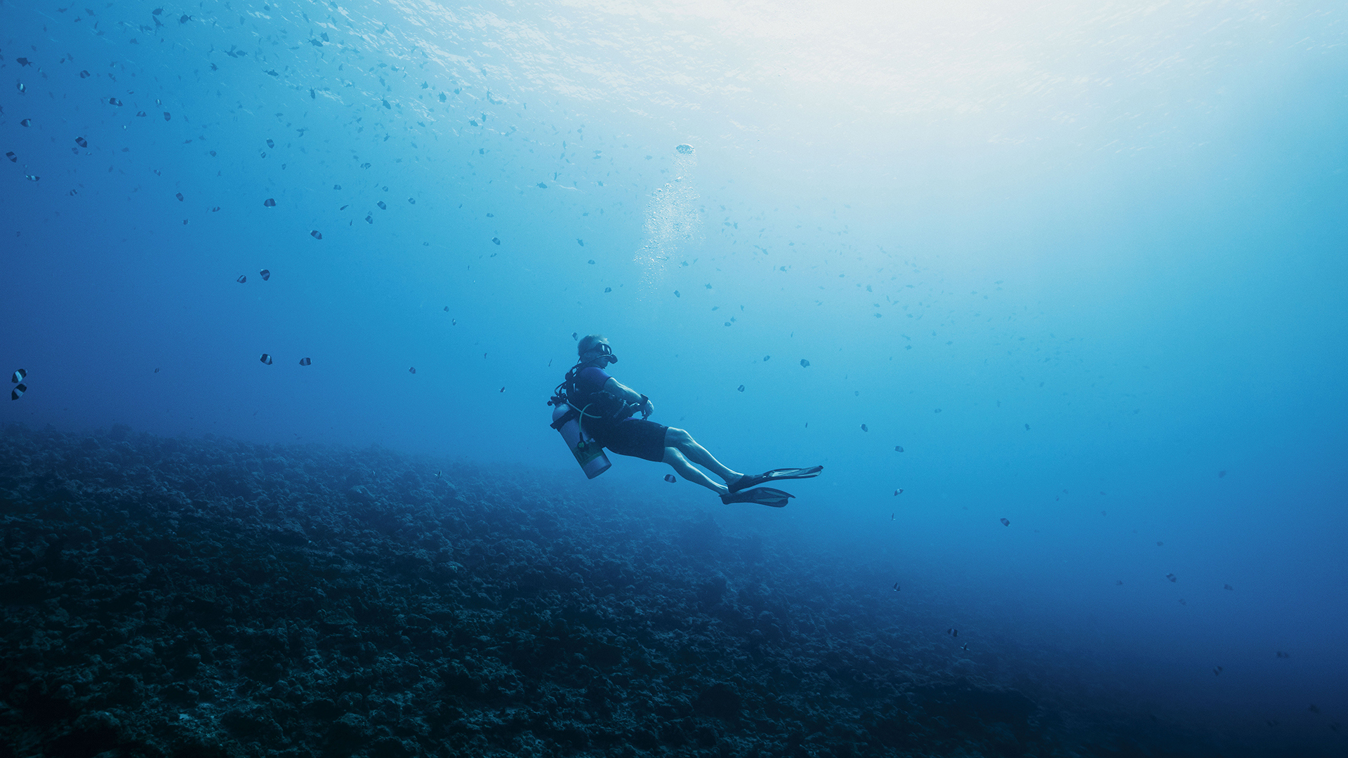 Indian Ocean, Maldives, One&Only Reethi Rah, Diving