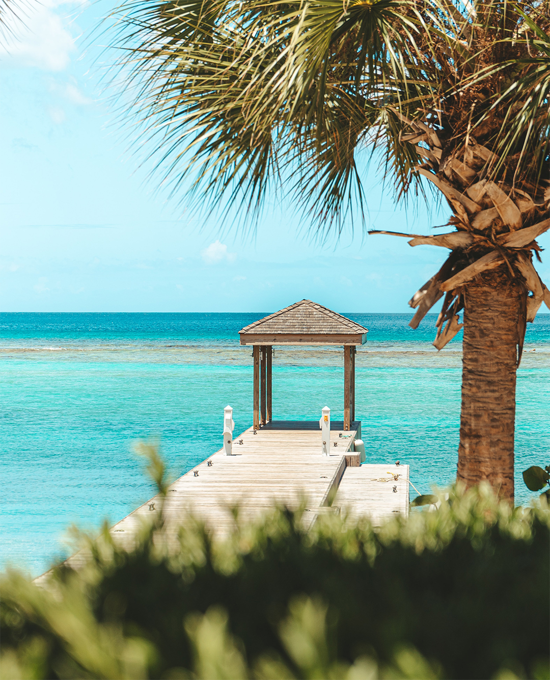 A wooden pier leading to a gazebo over clear blue tropical waters, framed by palm leaves.