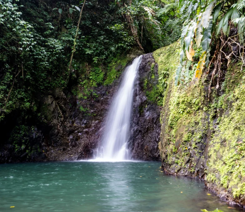 Umbraco.Cms.Core.Models.MediaWithCrops`1[Umbraco.Cms.Web.Common.PublishedModels.Image]