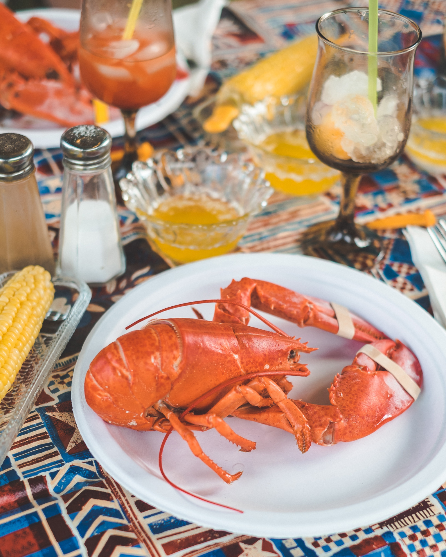 A lobster on a white plate on a table with corn and drinks