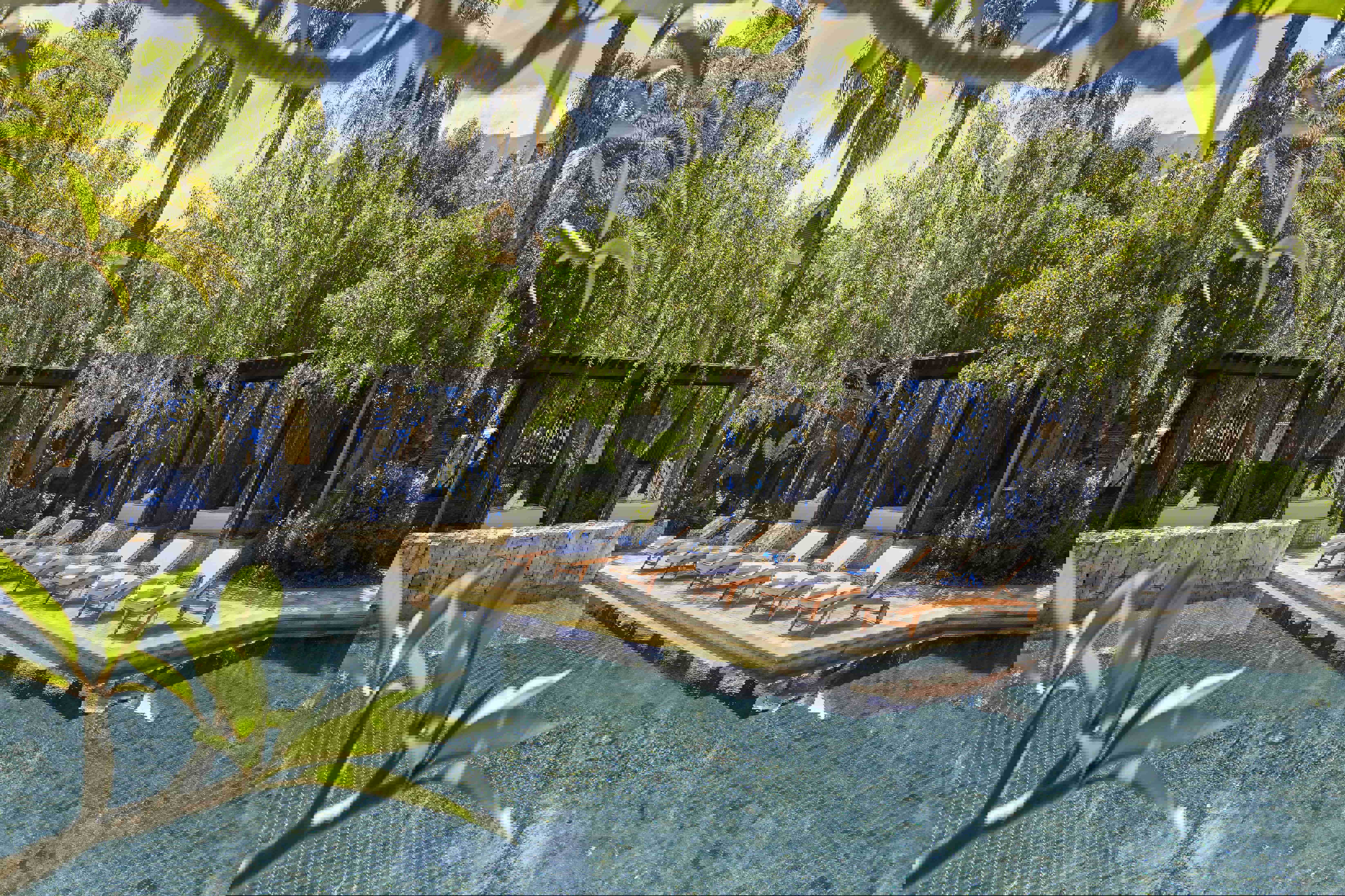 A picturesque pool framed by palm trees and lined with loungers and cabanas at One&Only Cape Town