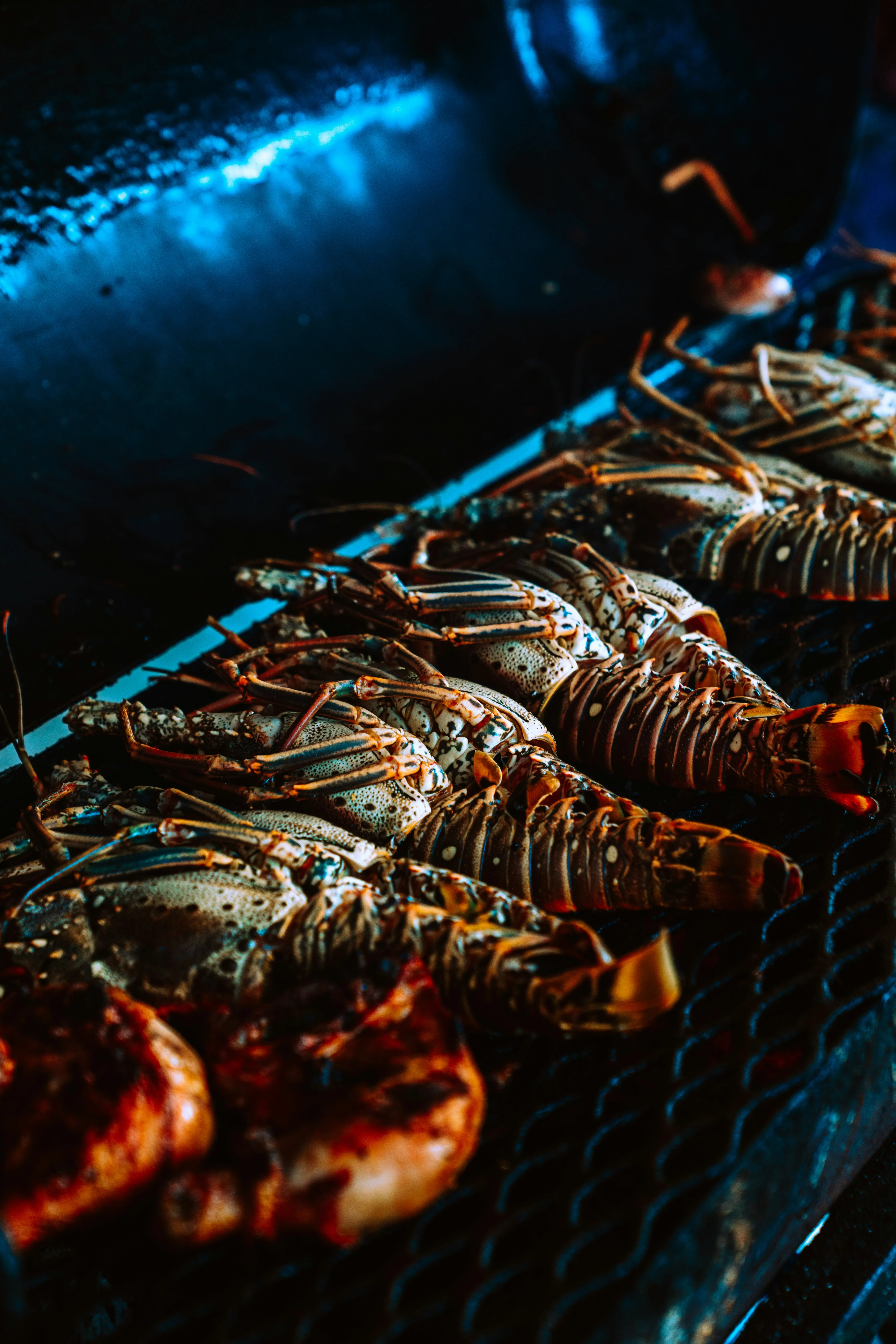 Fresh lobsters grilling on an open barbecue with char marks and vibrant shells under warm lighting.