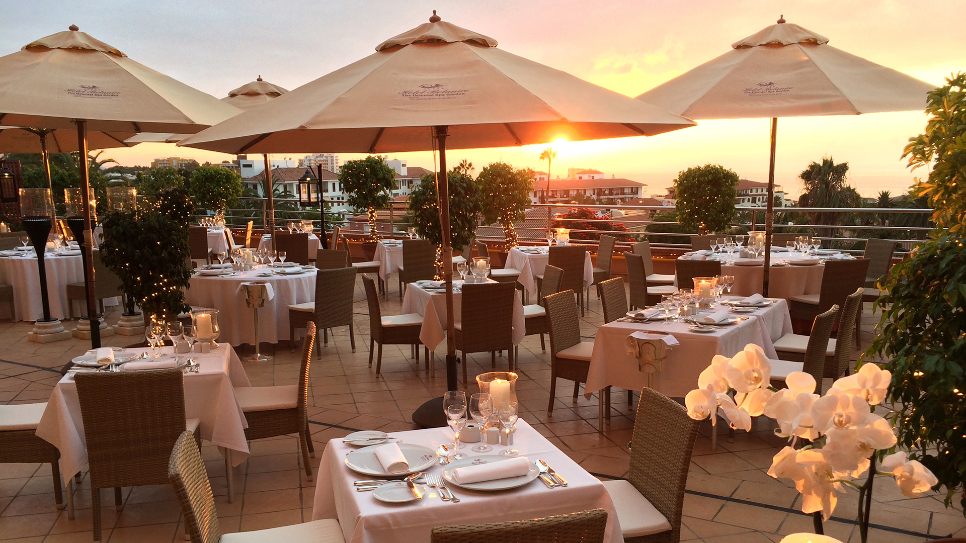 Europe, Spain, Tenerife, Hotel Botanico, Terrace il papagallo