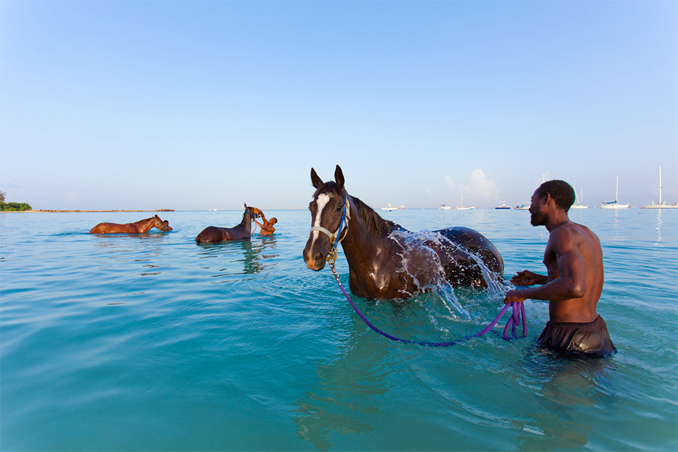 A man splashing a horse in the shallow sea water